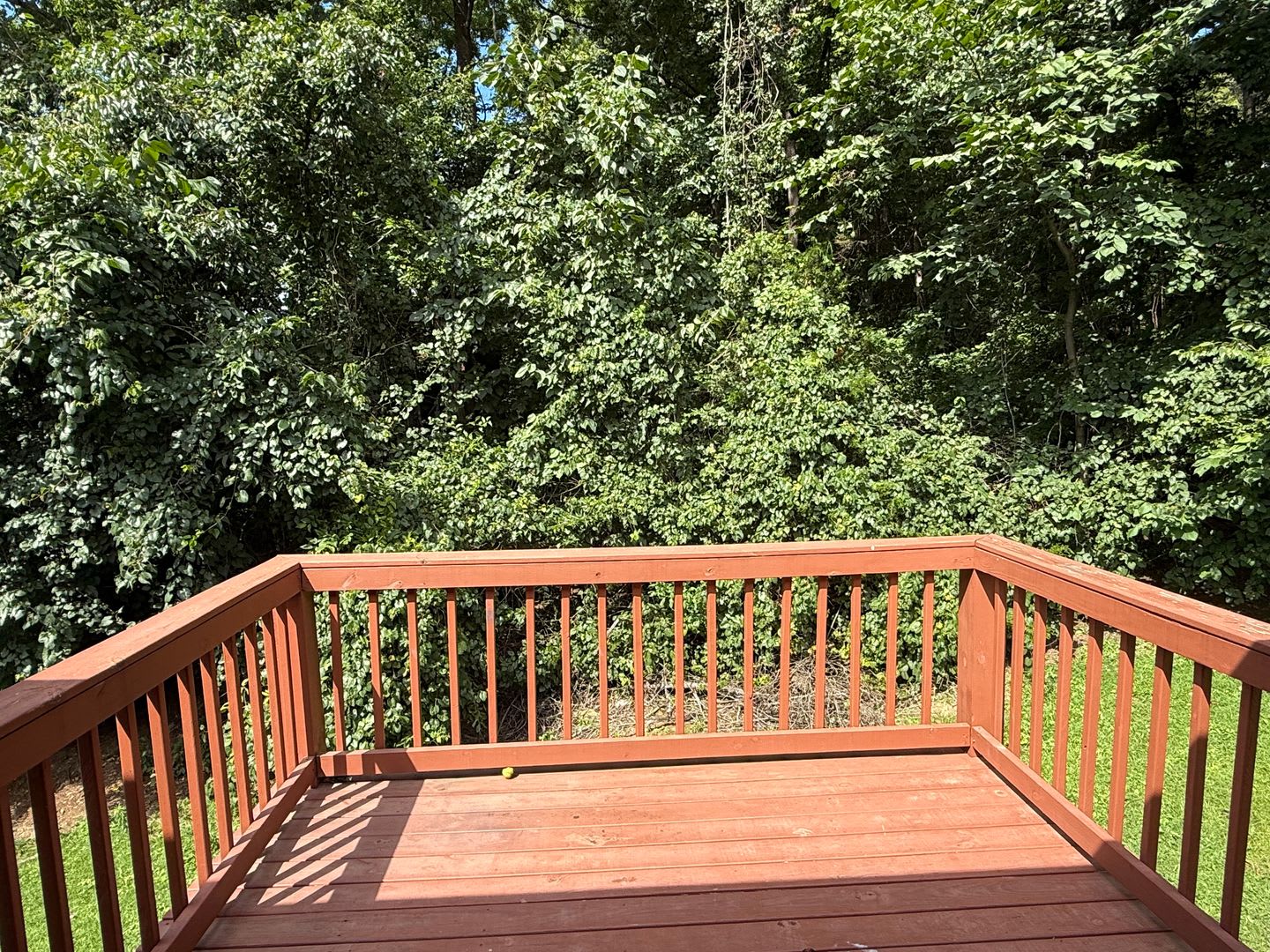 3 Bed 2 Bath Bonus Room 2 Car Garage Jonesborough – photo 3