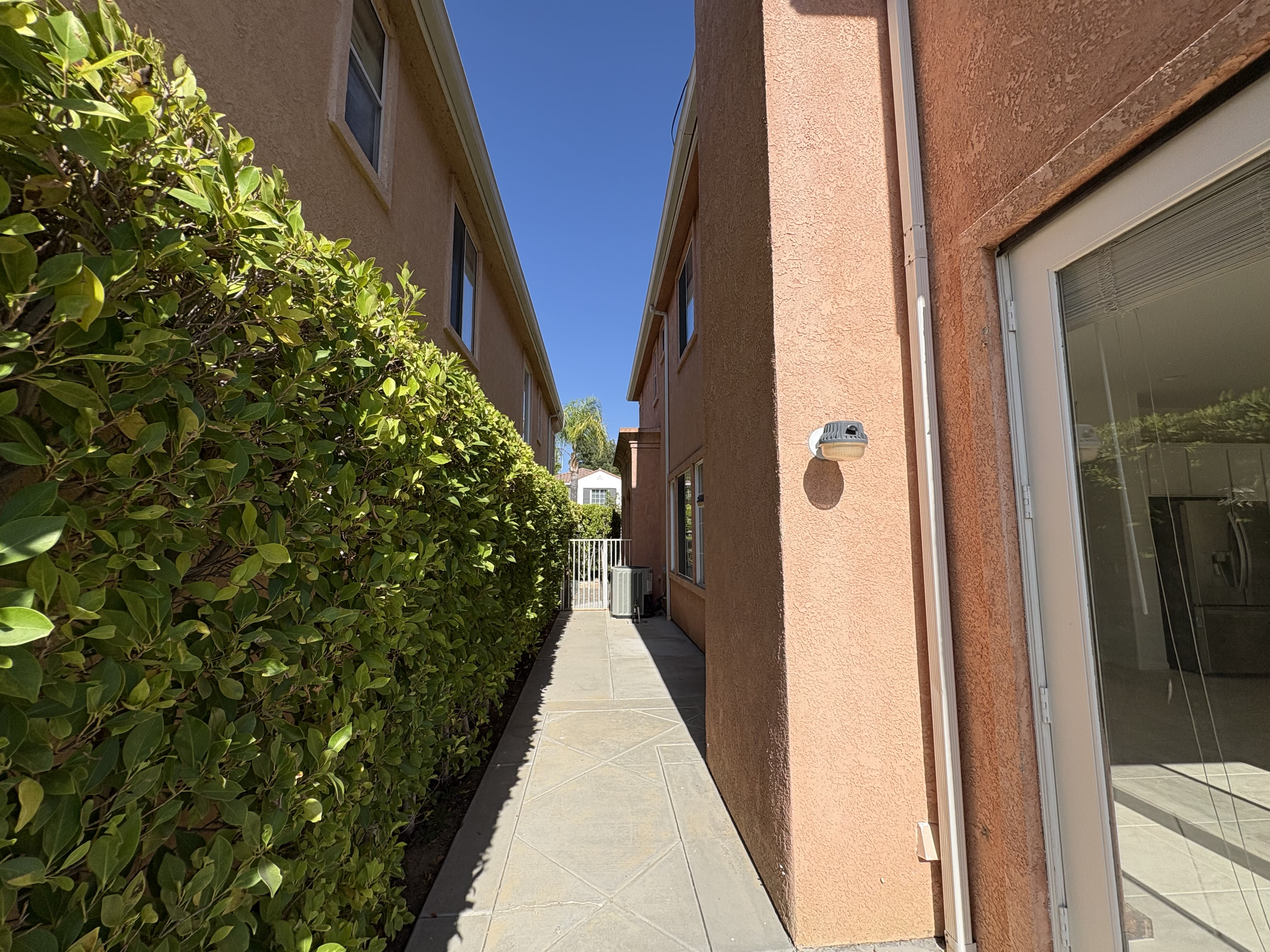 3657 Calle Jazmin – photo 3
