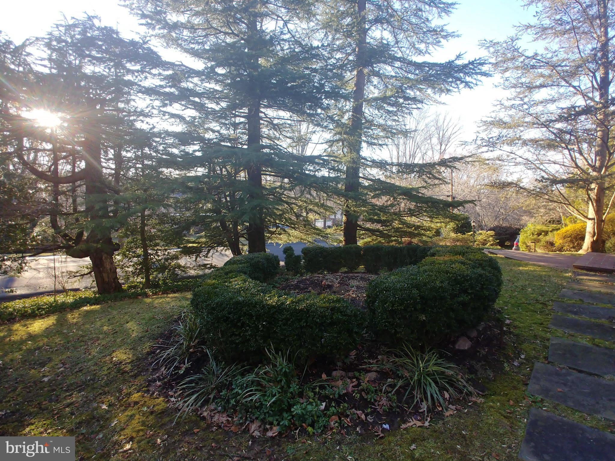 1429 LABURNUM Street – photo 5