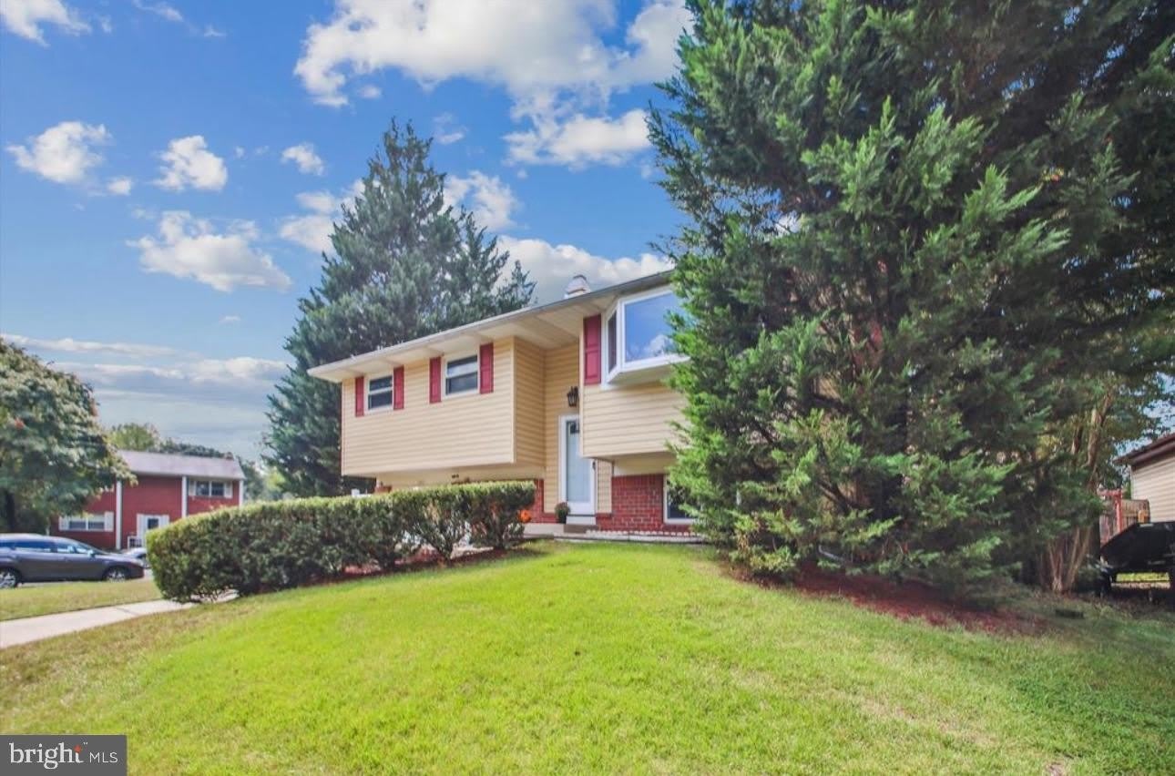 7997 Nolcrest Road – photo 2