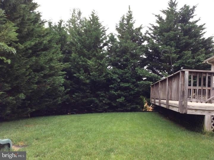 9058 MAJOR SMITH Lane – photo 3