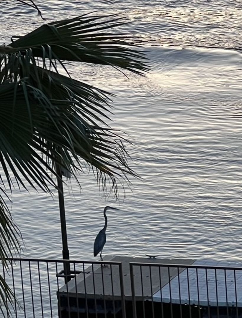 2 BR WATERFRONT Fully Furnished/Utilities Included!! BEST SUNSET VIEW – photo 5