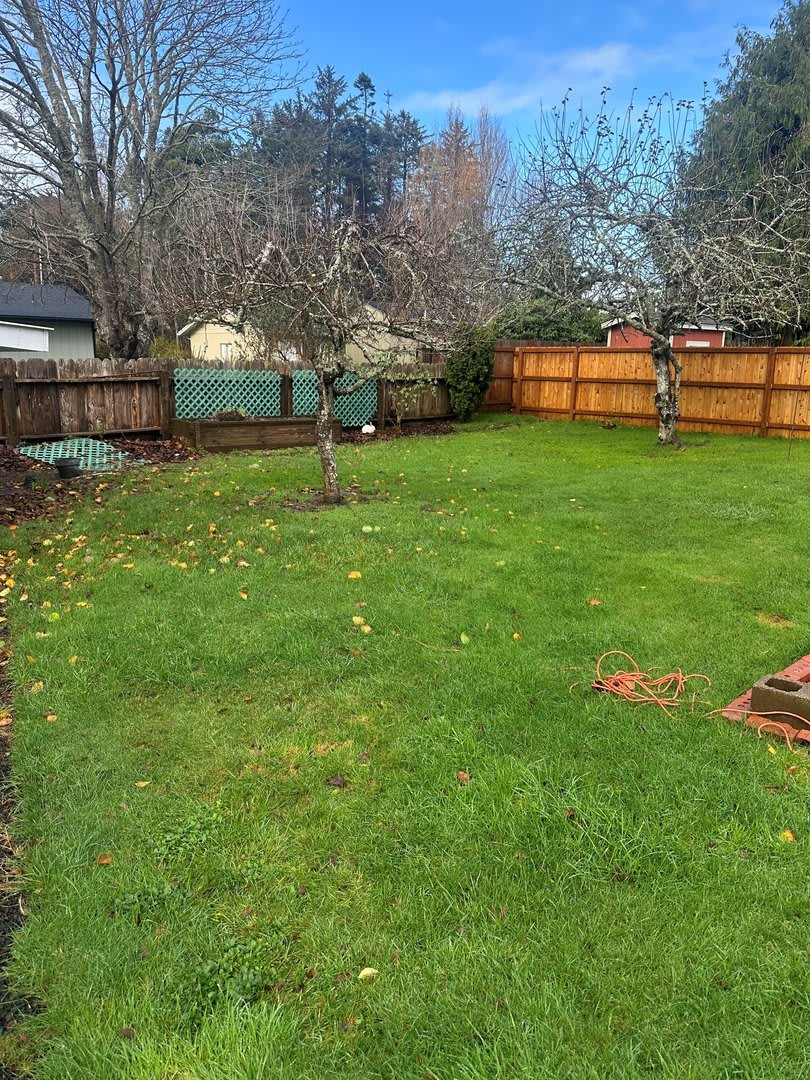 Charming 3-bedroom, 1-bath home in beautiful Bandon! – photo 5