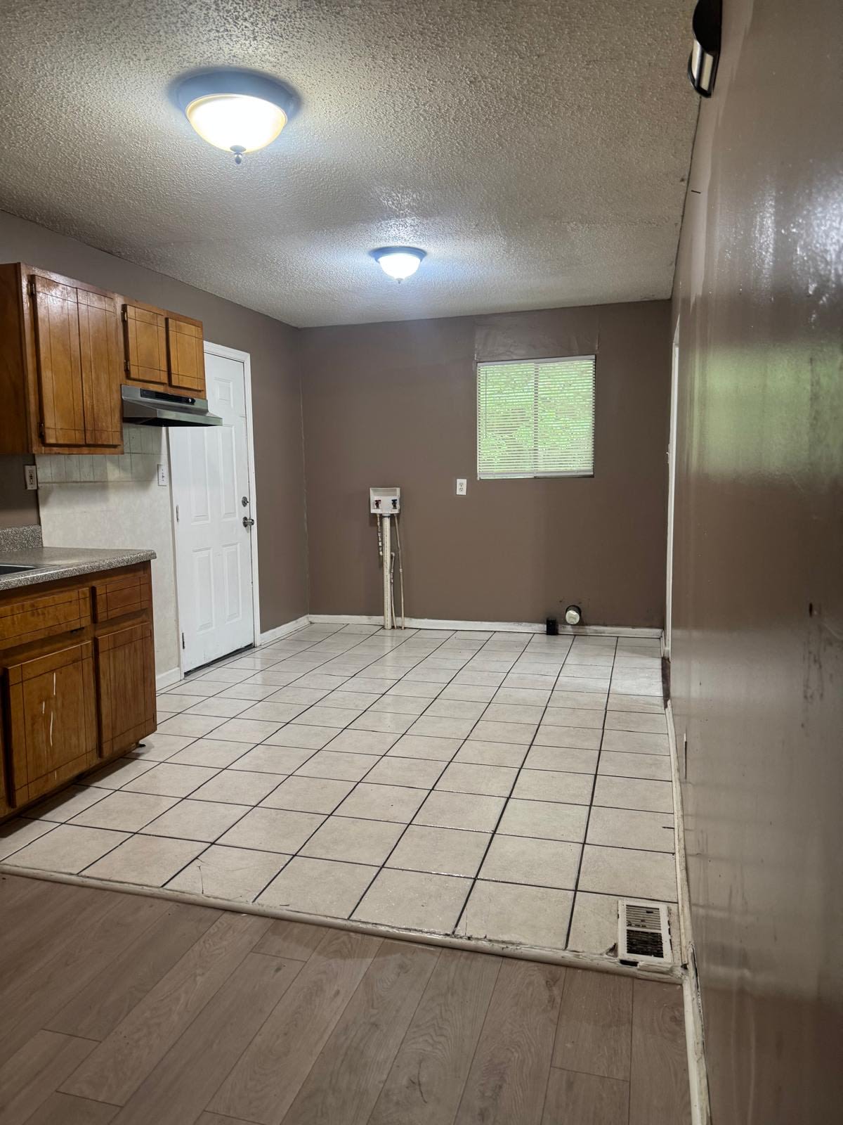 4 Orchid Place – photo 5