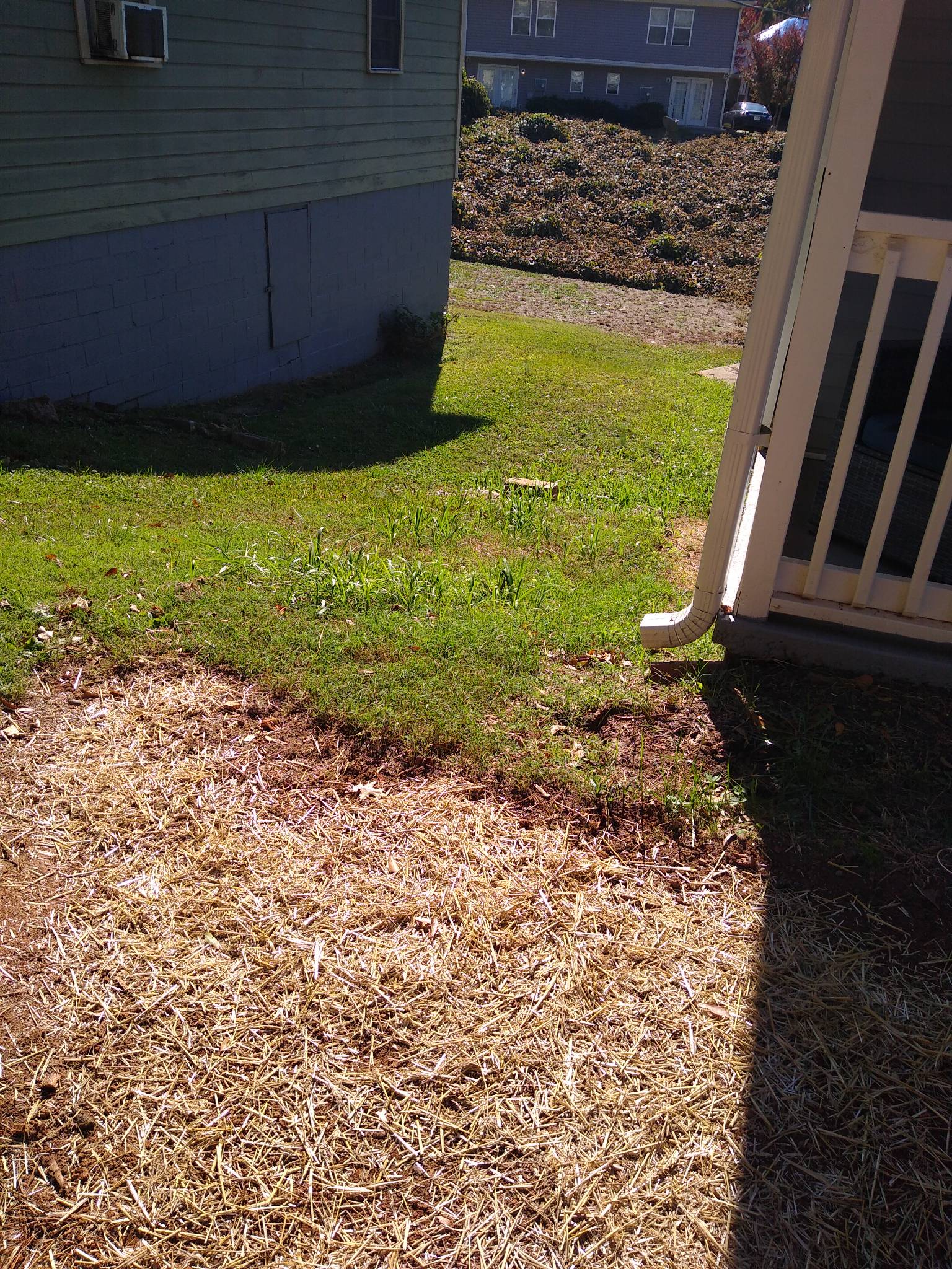 129 Nevada Street – photo 5