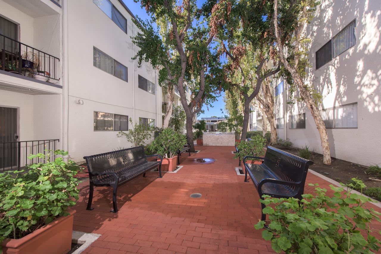 Tarzana Springs – photo 3