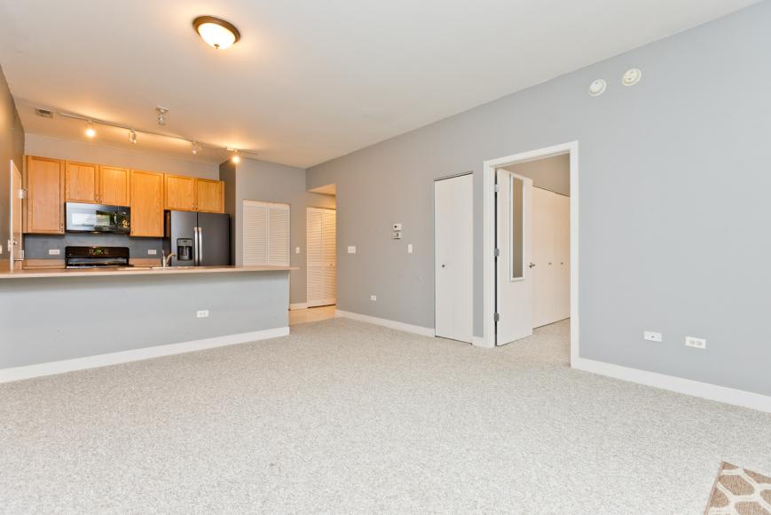 1515 S Halsted St Unit 214, Chicago, IL 60607 – photo 5