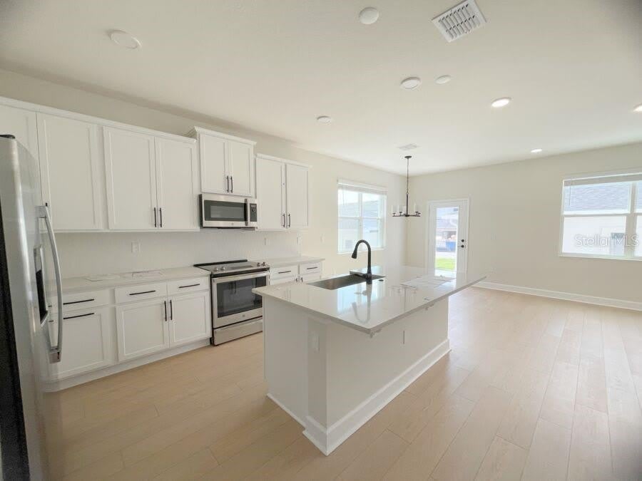 15236 TRIBUTE OVATION Way – photo 2