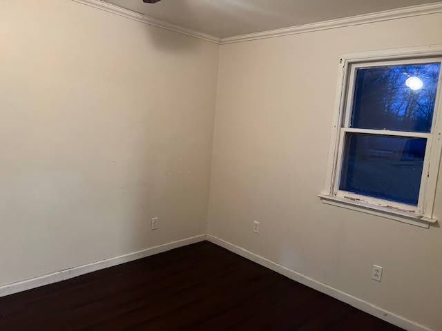 328 11th SE St – photo 3