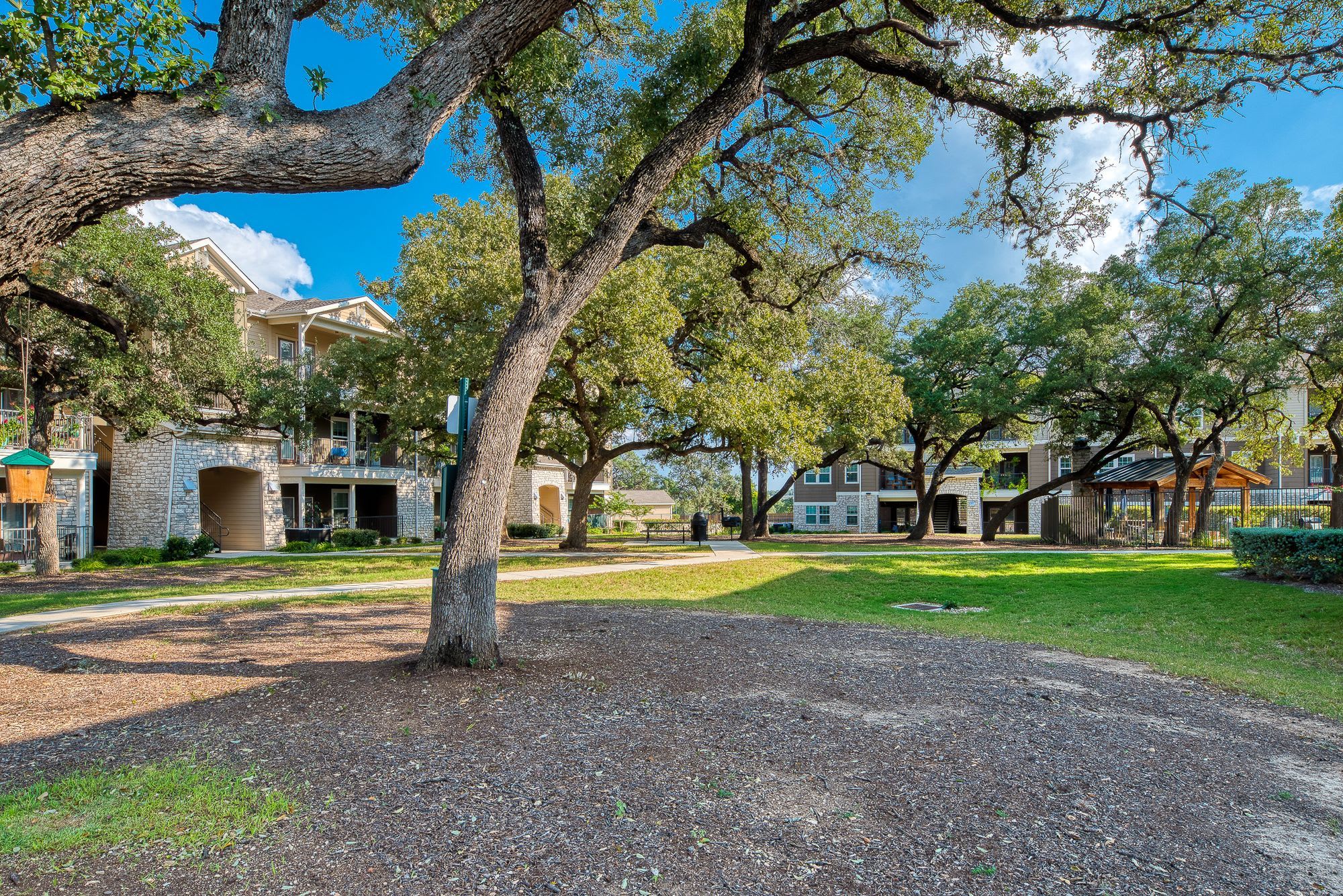 Roots at Boerne – photo 5