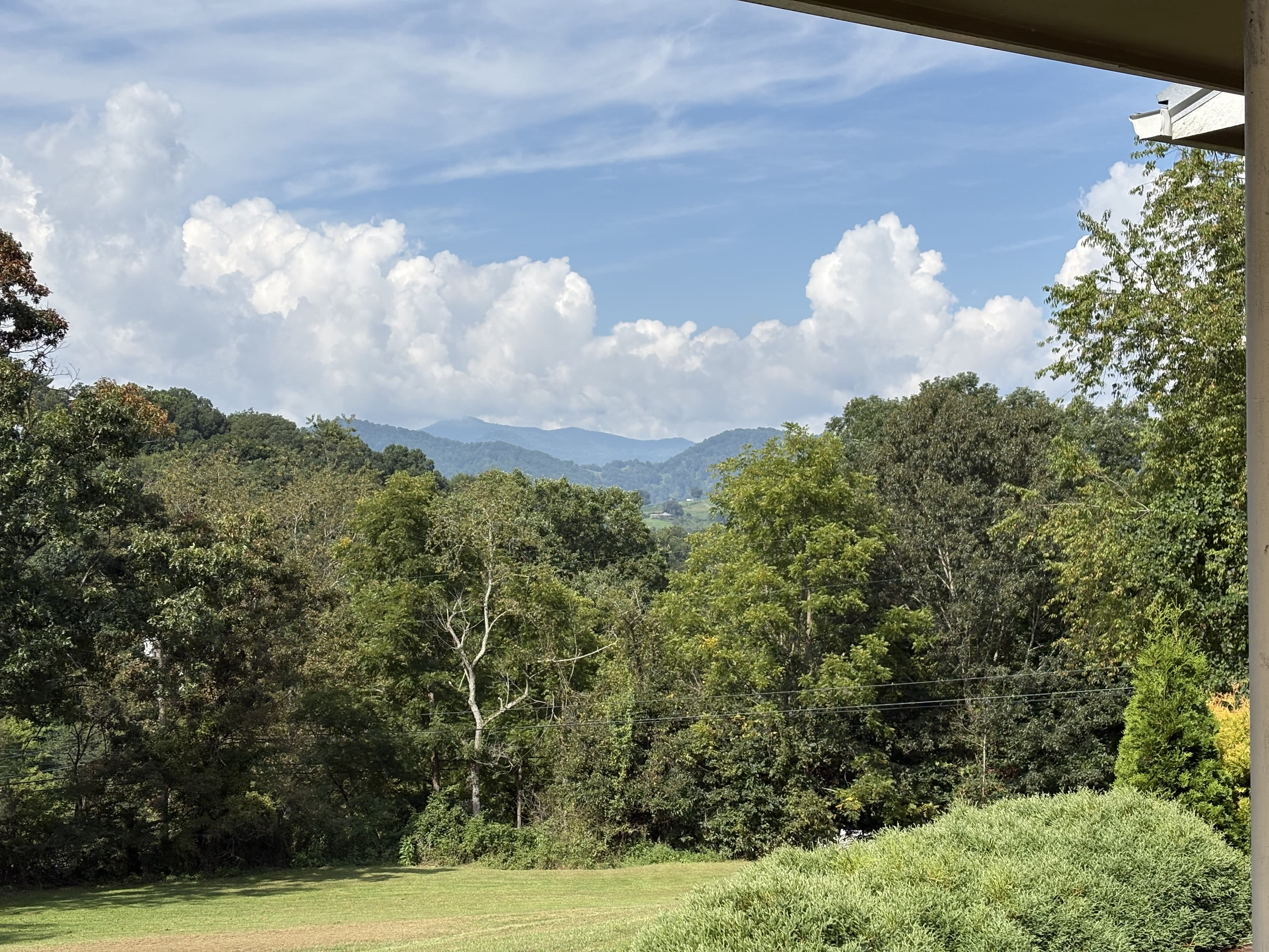 163 Messer Road – photo 4