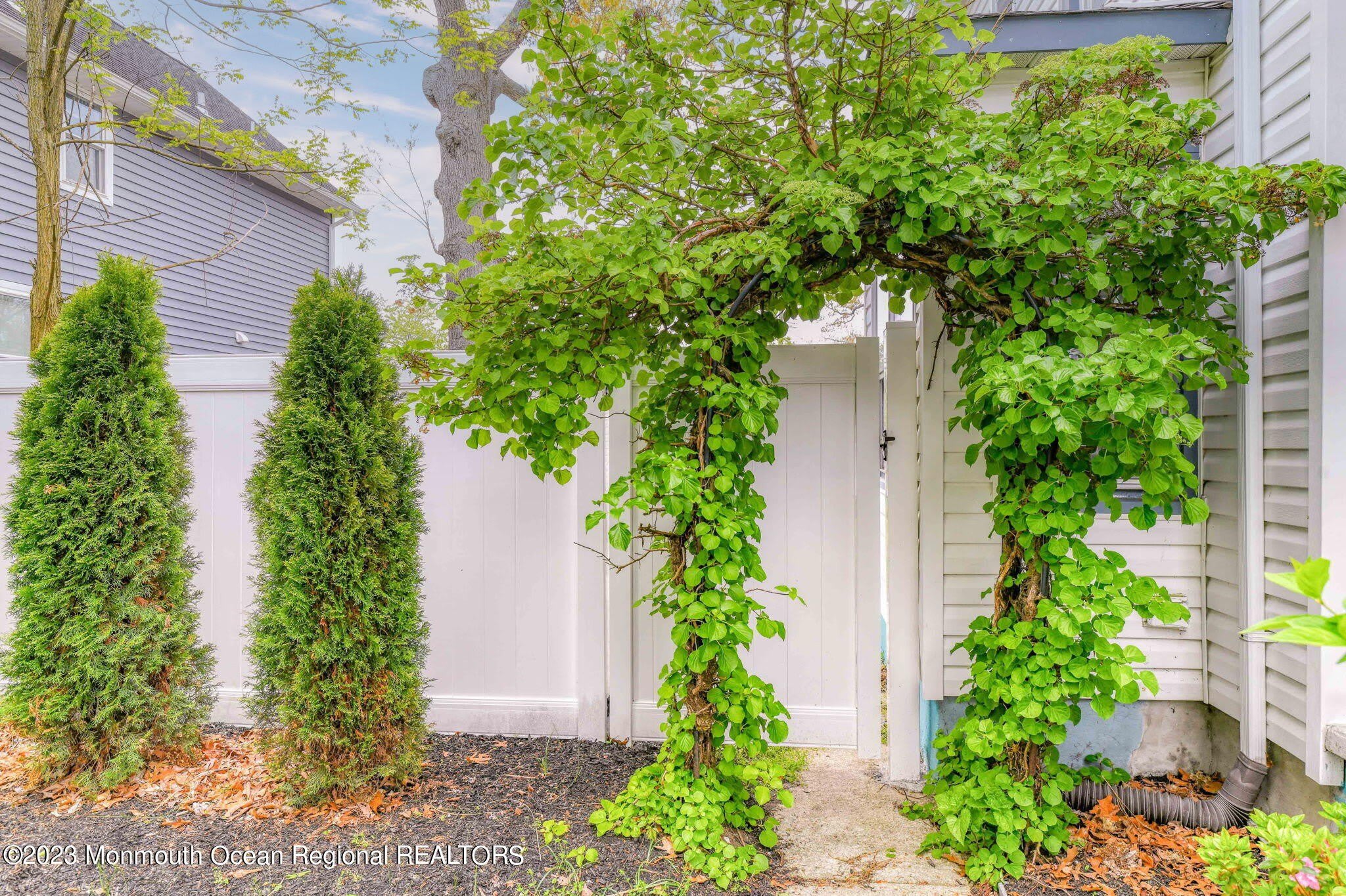 819 Dunlewy Street – photo 4