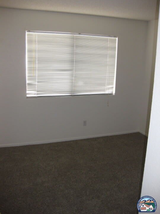 1100 Rodeo Dr – photo 5