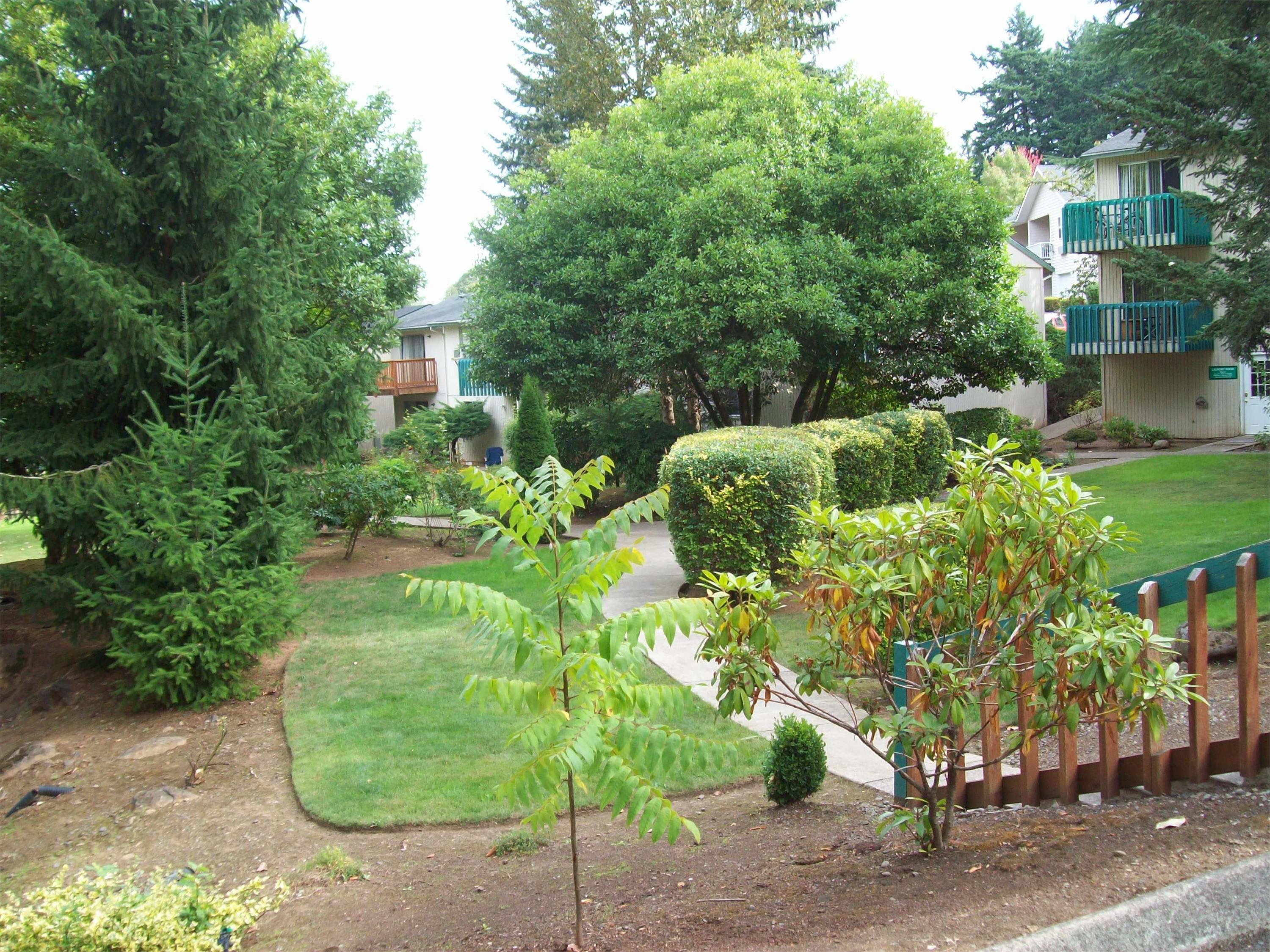 3359 Ratcliff Lane SE – photo 3