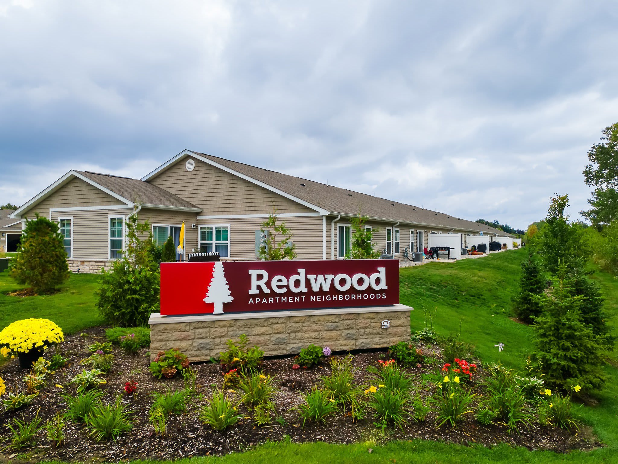 Redwood Holland – photo 4