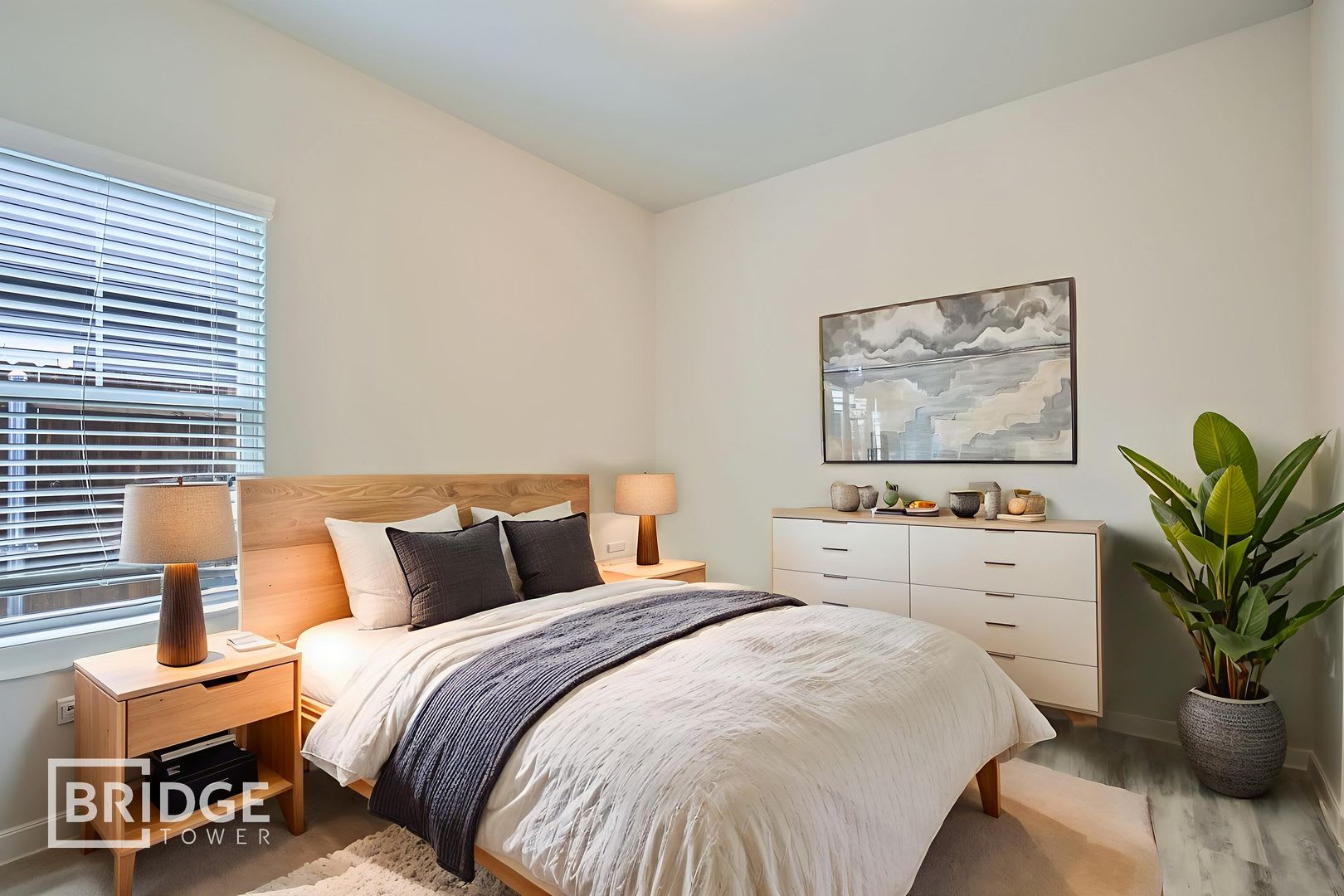B1- Buffalo Plan – photo 5
