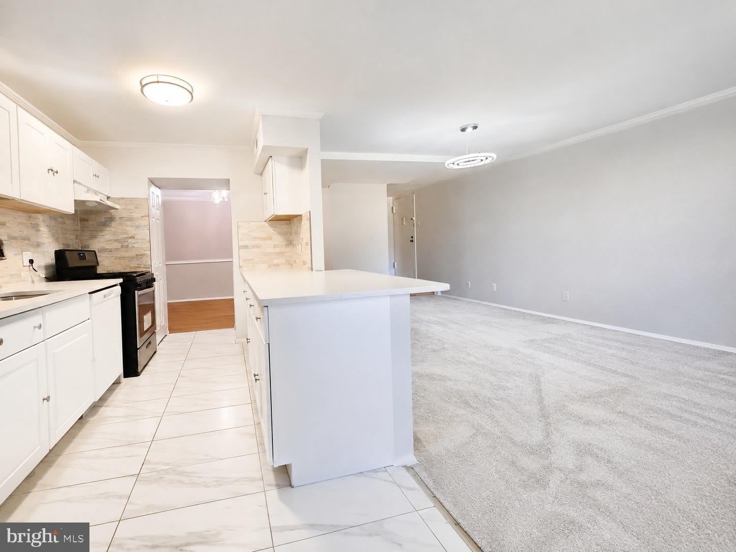 11210 CHERRY HILL Road – photo 2