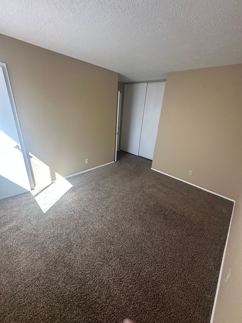 590 Stallion Road – photo 5