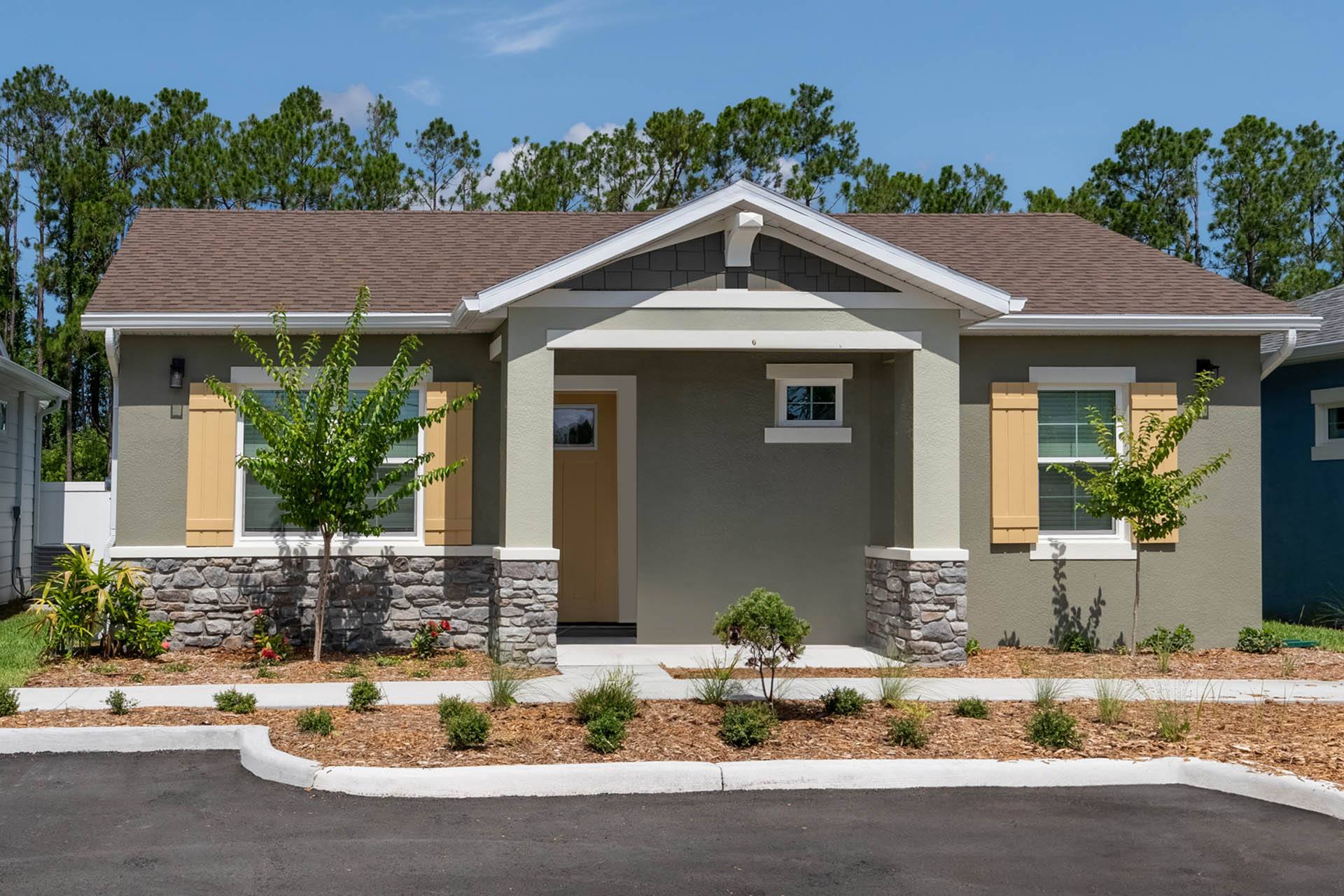 Avilla Silver Palm – photo 2