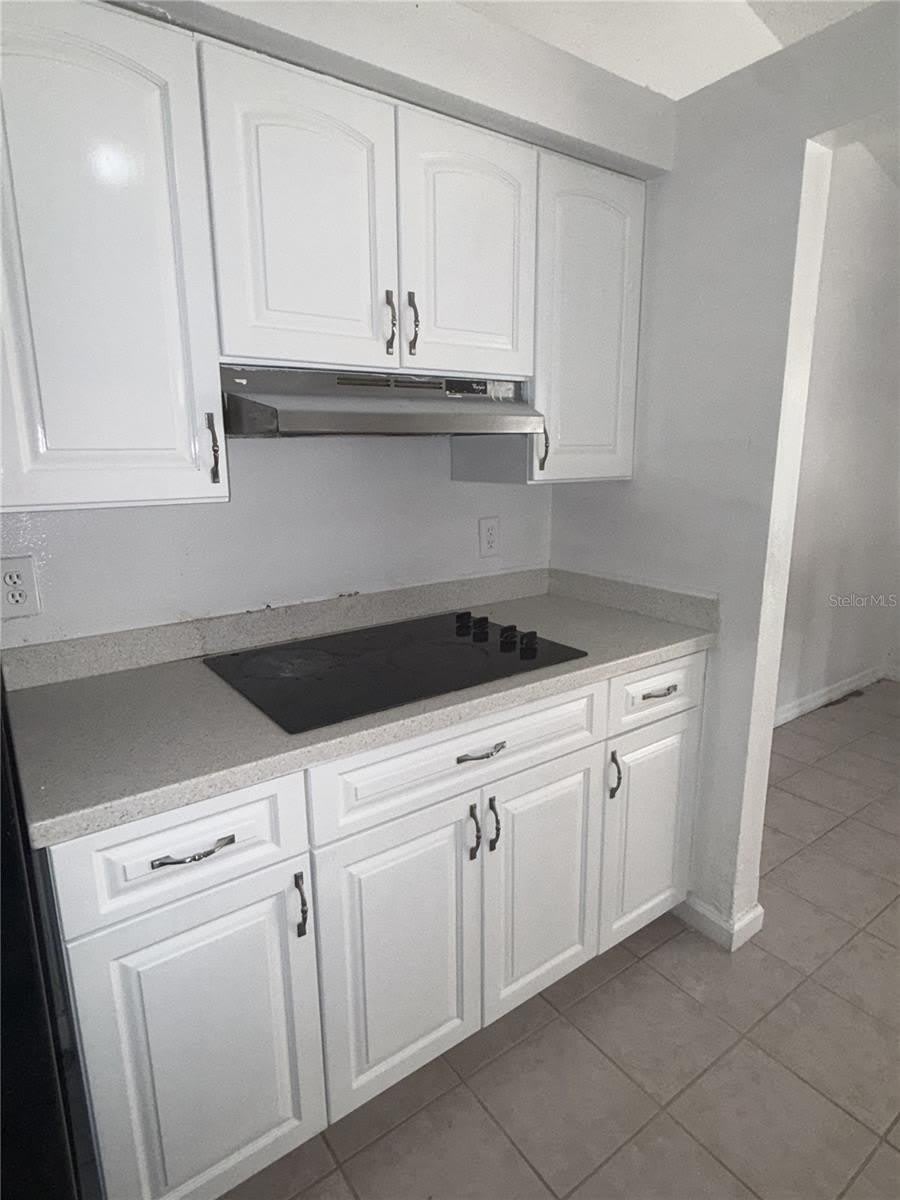 9213 CAMINO VILLA Boulevard – photo 5