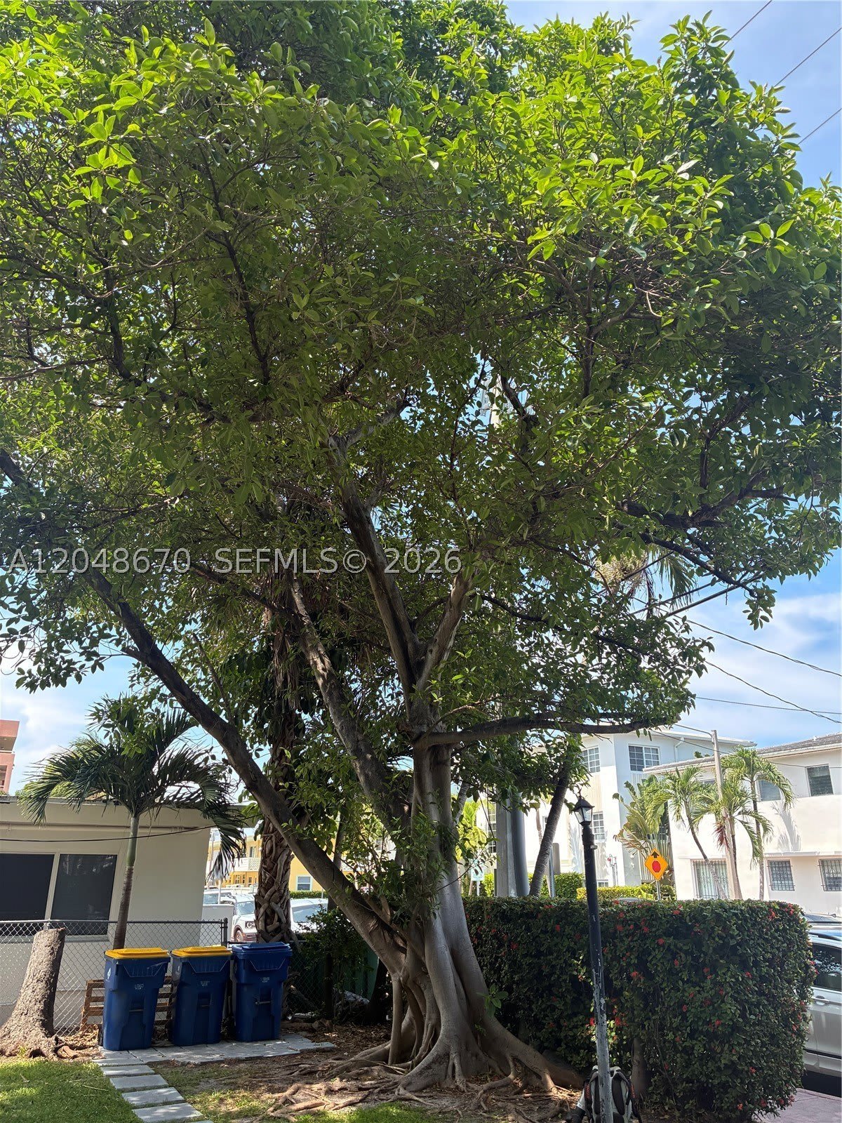 8020 Abbott Ave – photo 2