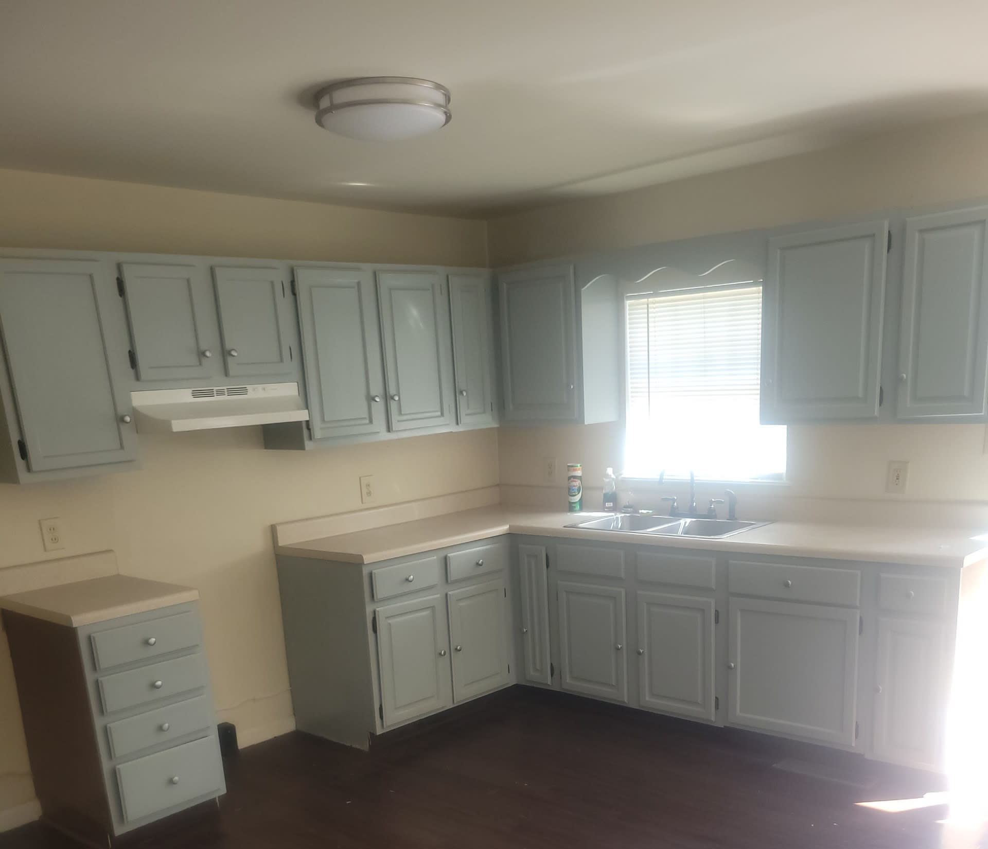 1437 Pike Road – photo 2