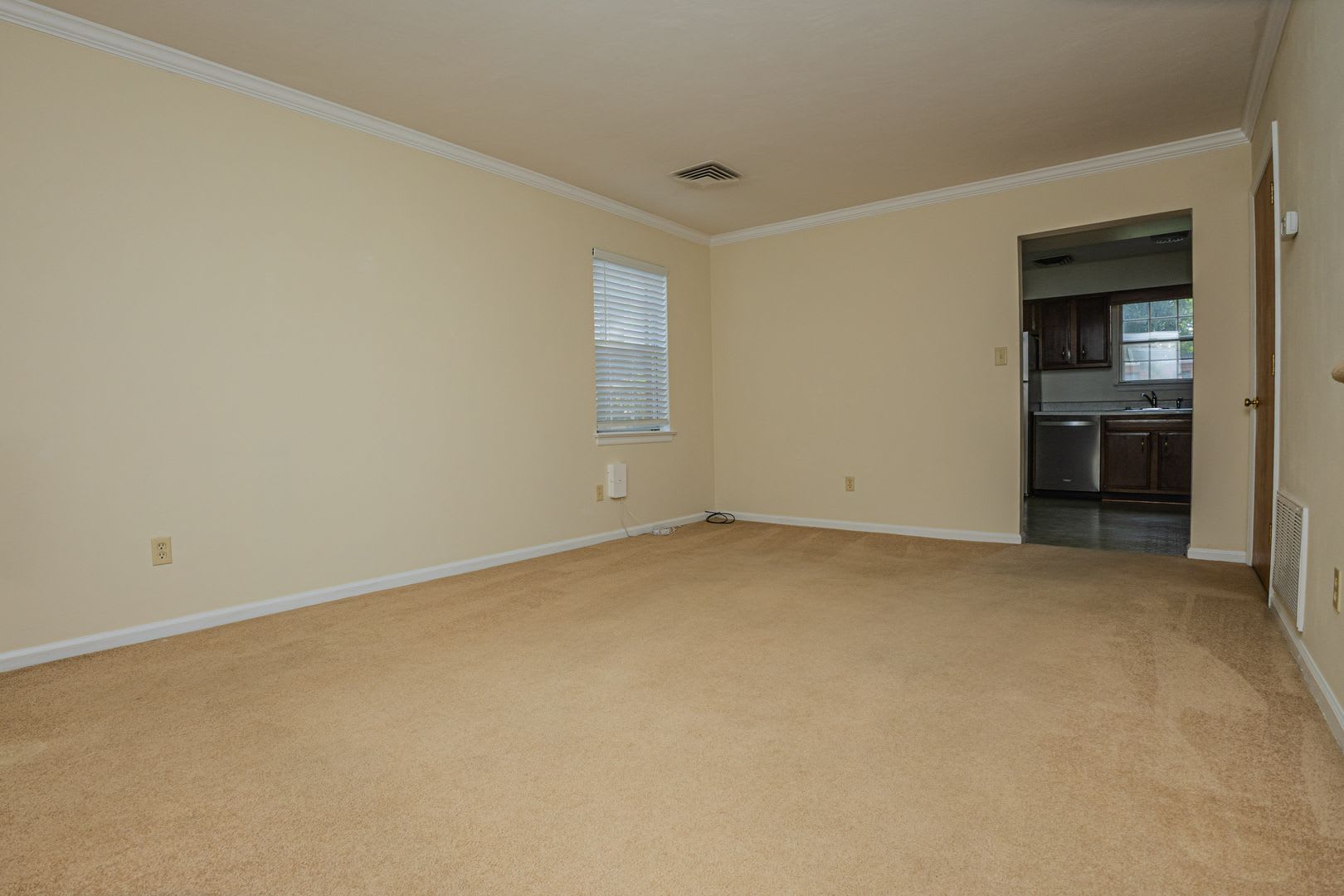 Price Reduced! – photo 3