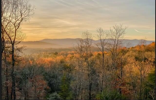208 Wolf Trace – photo 2
