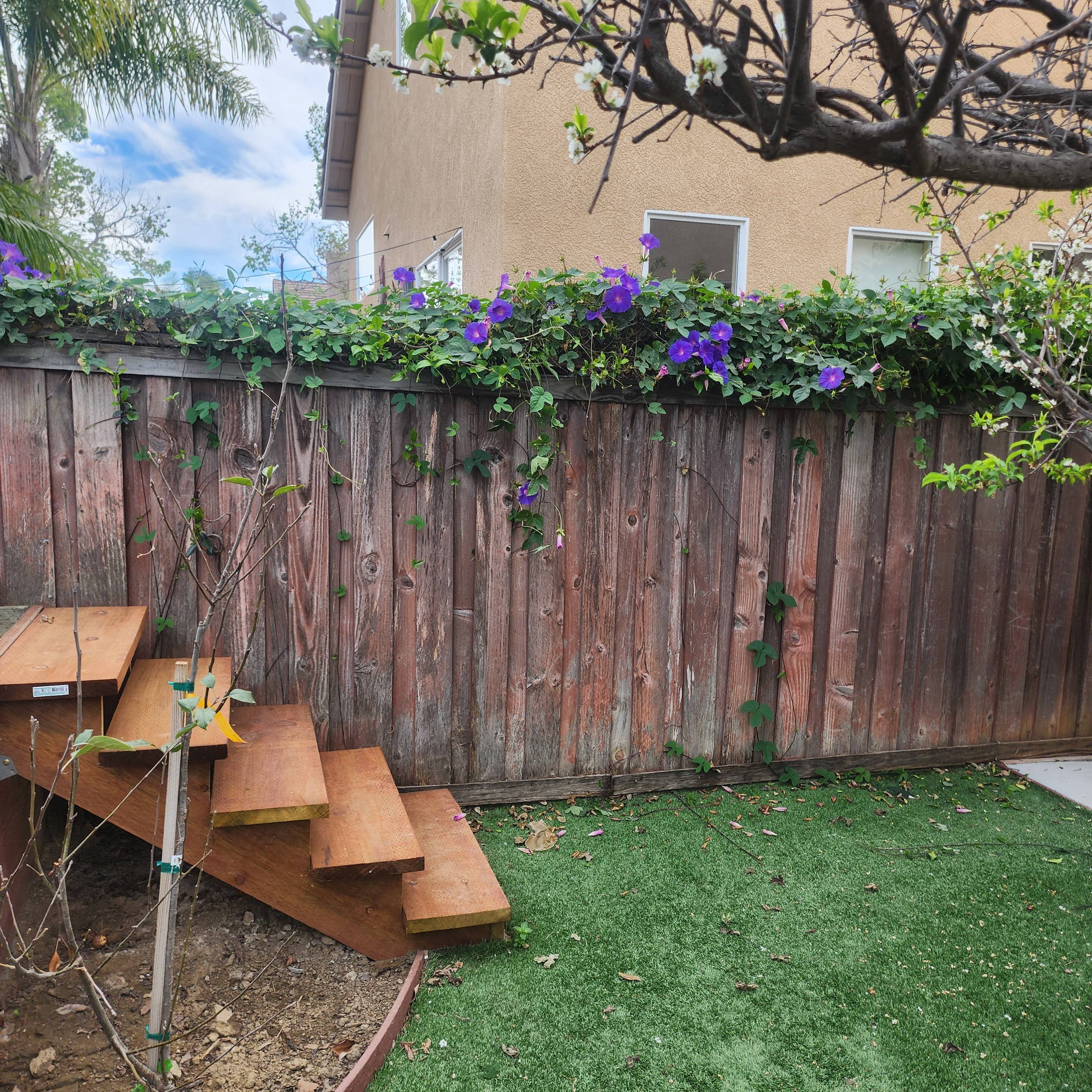2386 Taos Avenue – photo 3