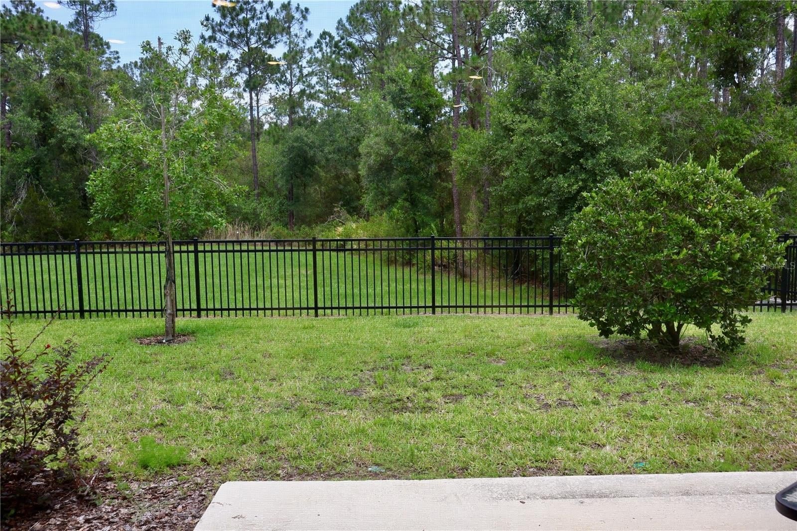 3635 DAVENPORT CREEK Court – photo 4