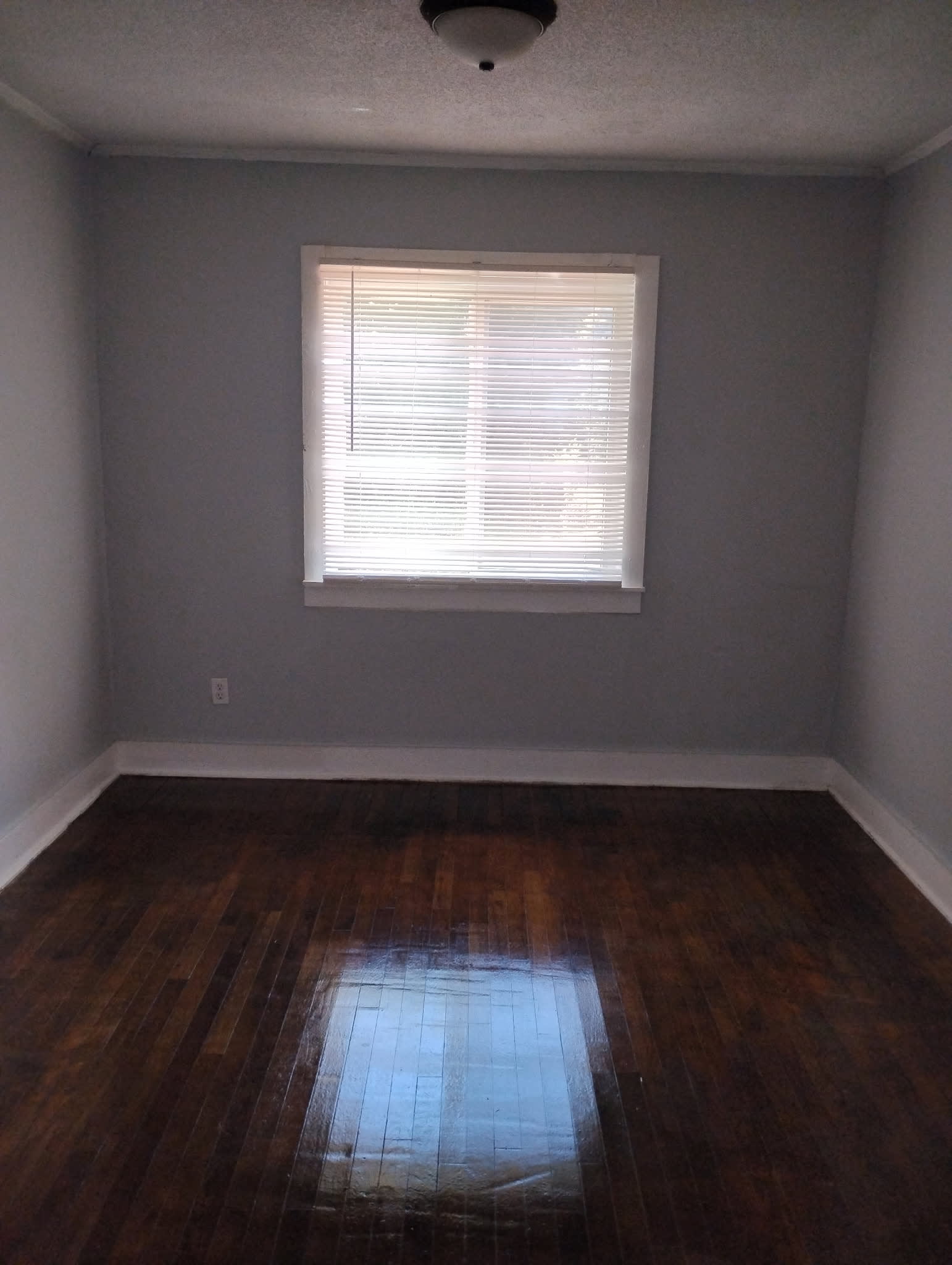 1706 Louise Street – photo 2