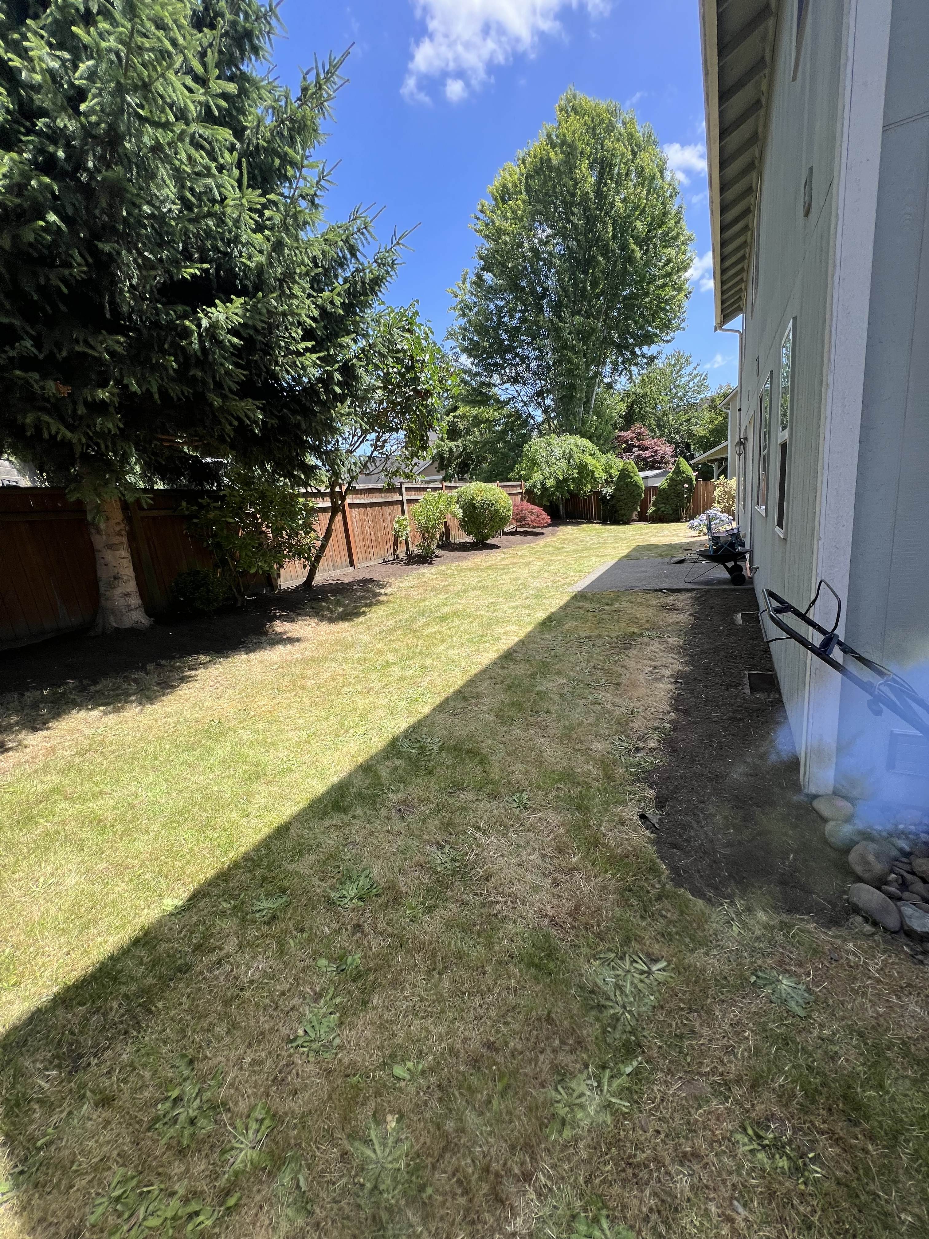 7507 Village Drive – photo 2