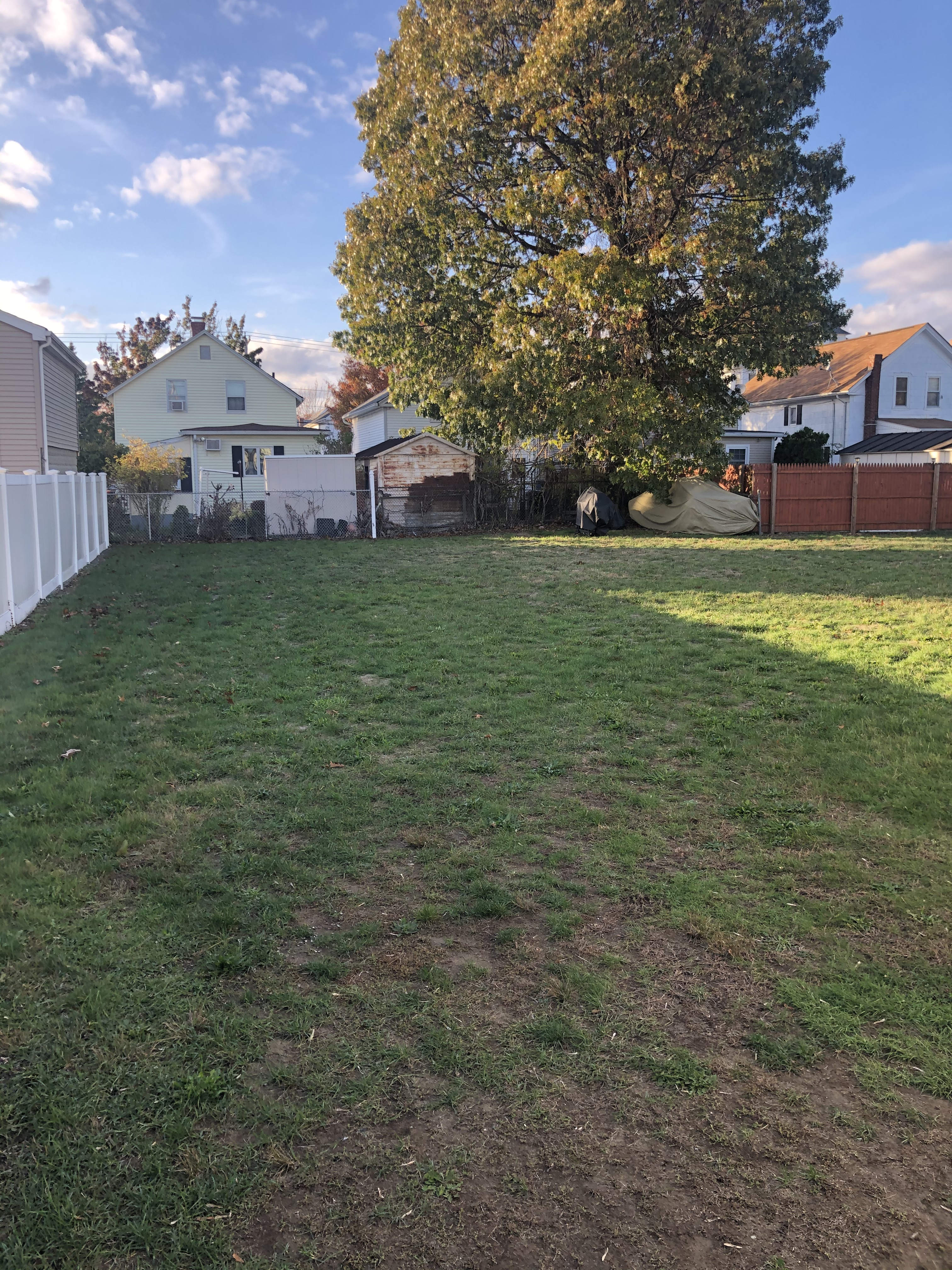 60 Ivy St – photo 4