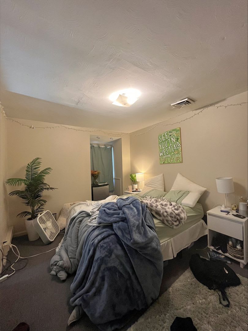 8 Person House Blocks From Chauncey Village And Campus Bars – photo 4