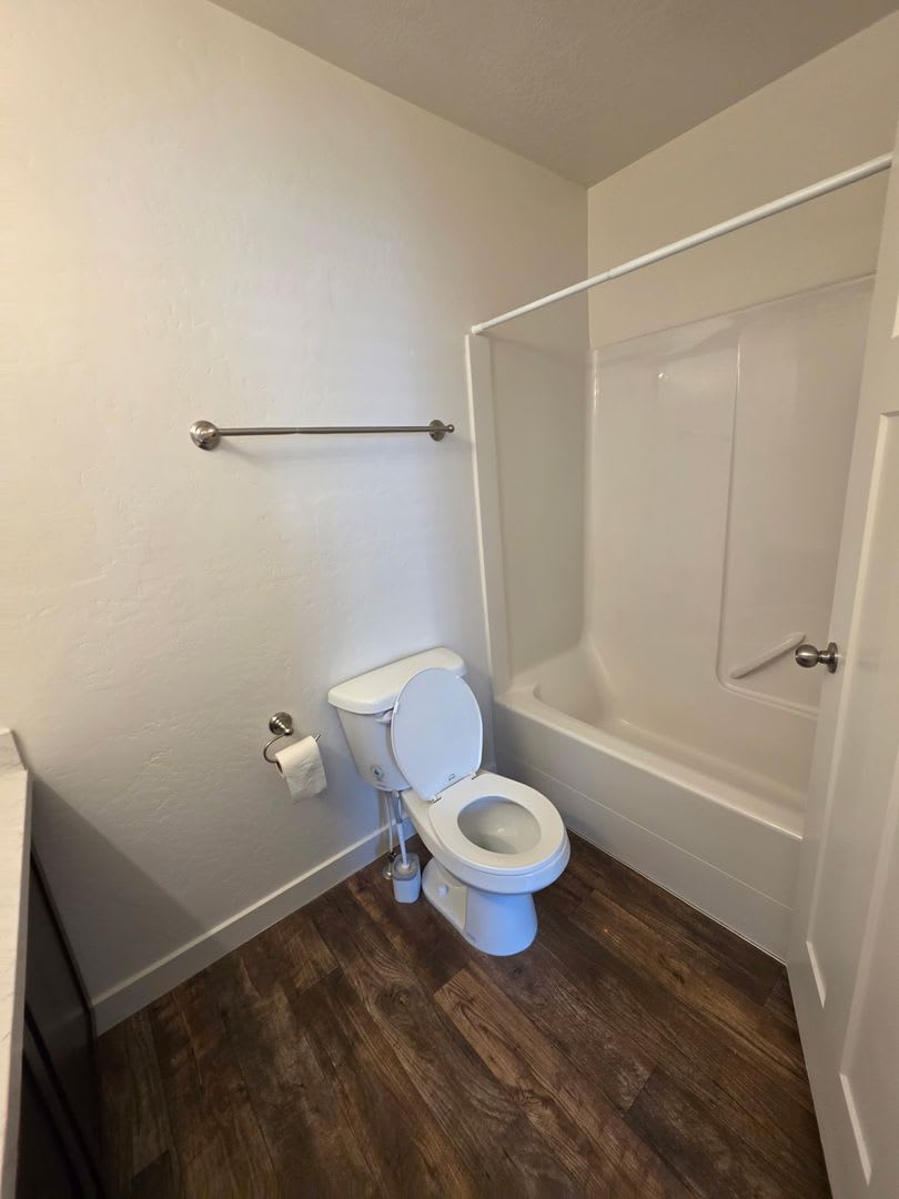 3 Bed/2 Bath Townhome for Rent in Vineyard! – photo 3