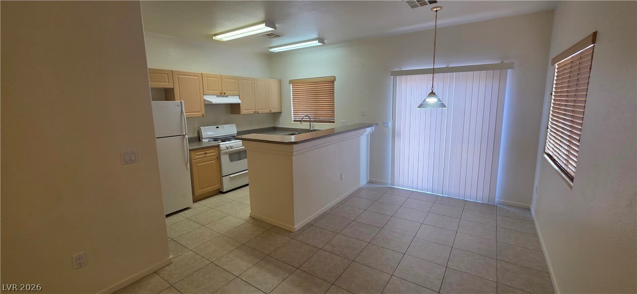 8832 Roping Rodeo Avenue – photo 5
