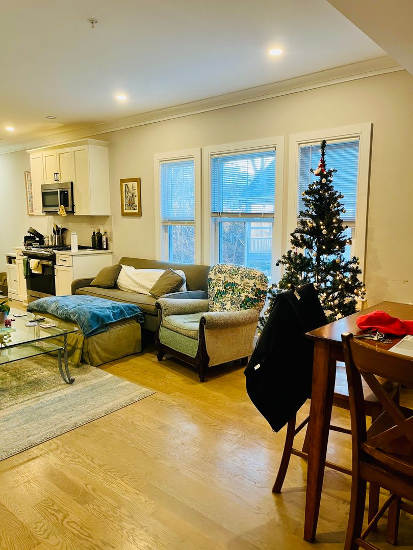 Spacious 4 Bed 2 Bath In Unit Laundry Central Air Allston 9 1 – photo 1