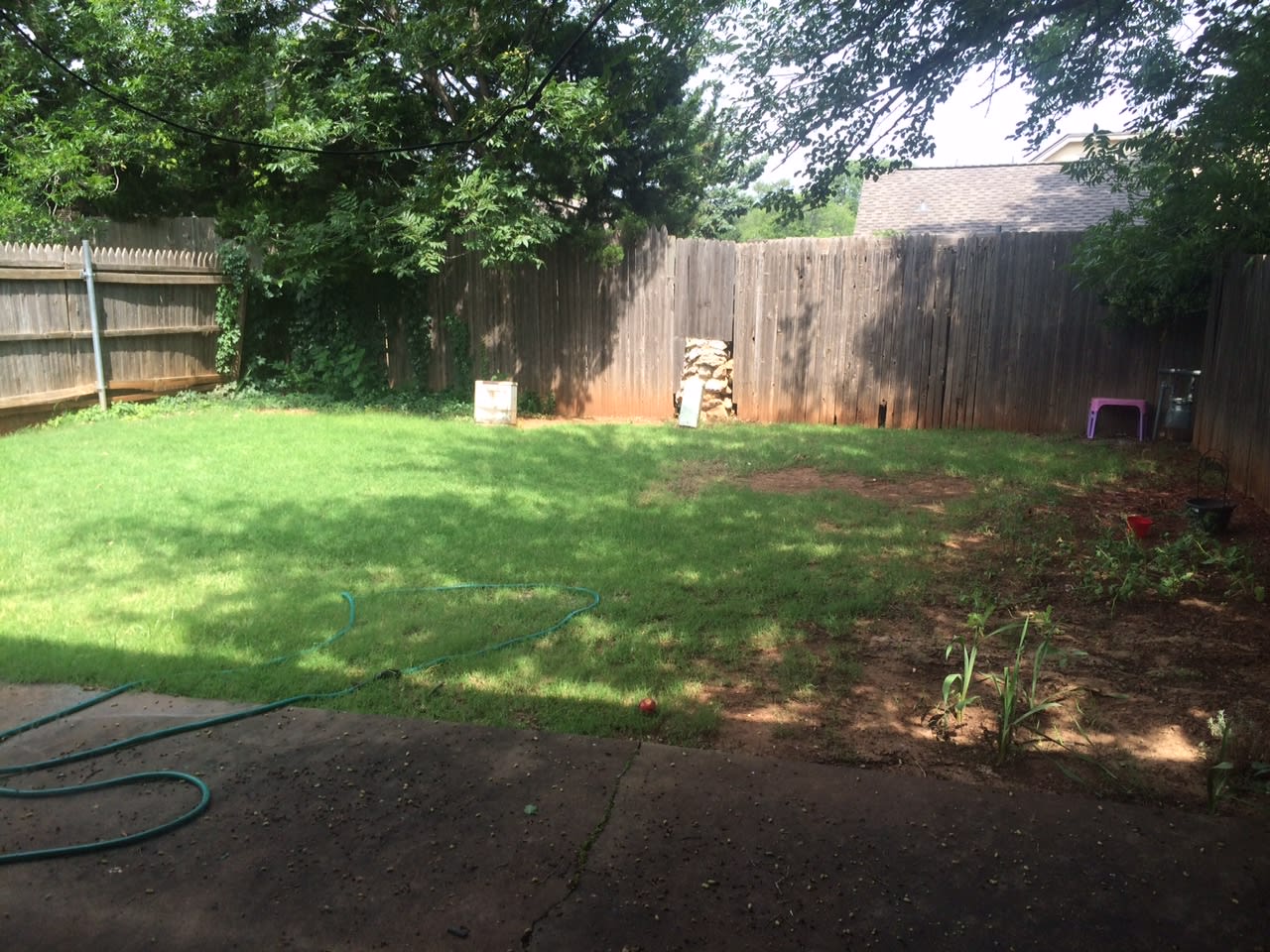 12333 Cedar Springs Lane – photo 3