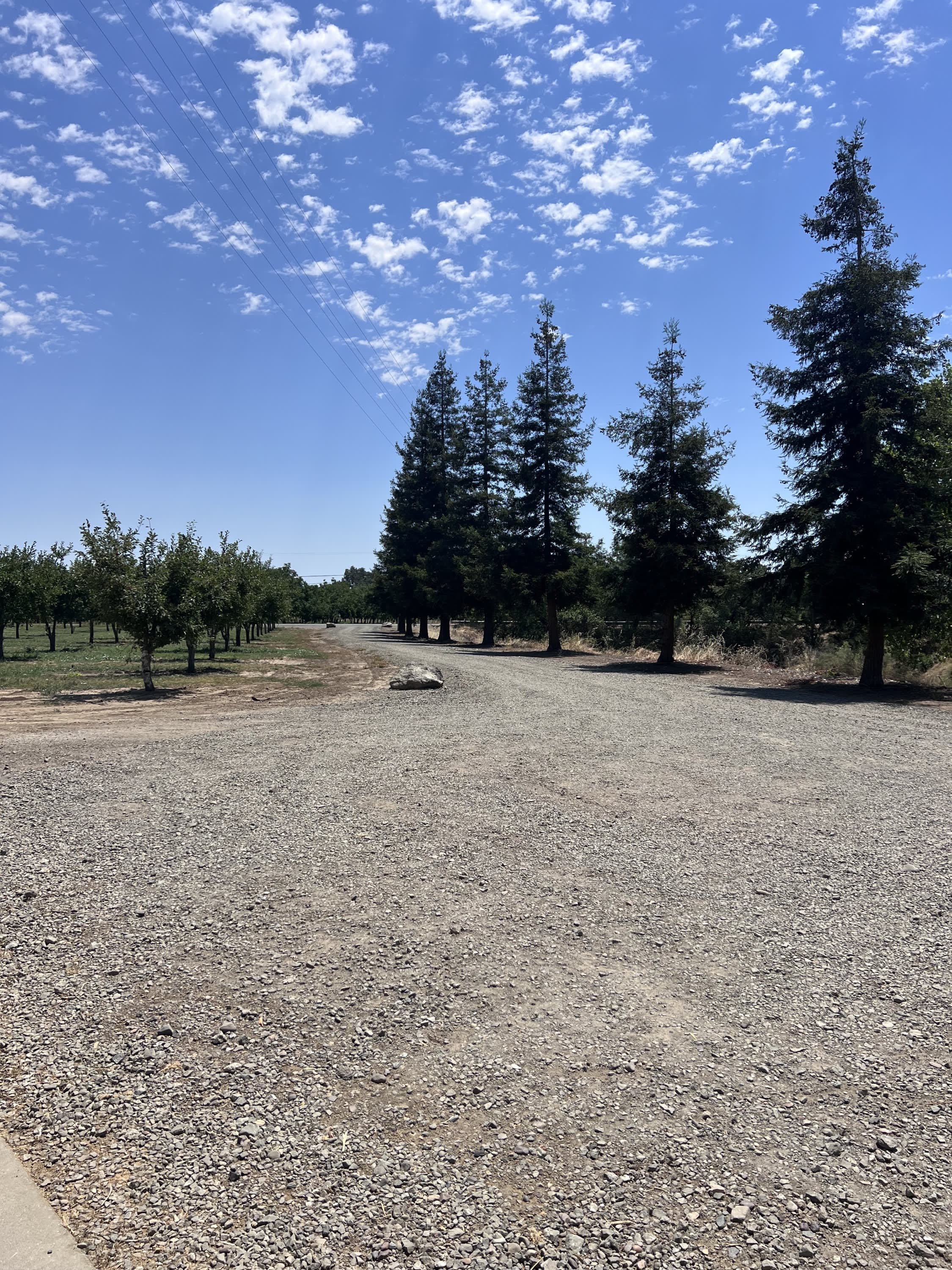 4107 Putah Creek Road – photo 3