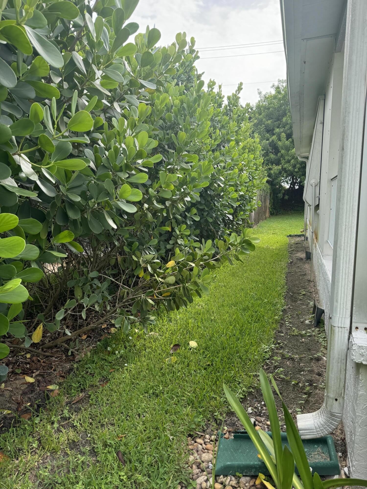 8051 SE Homestead Avenue – photo 5