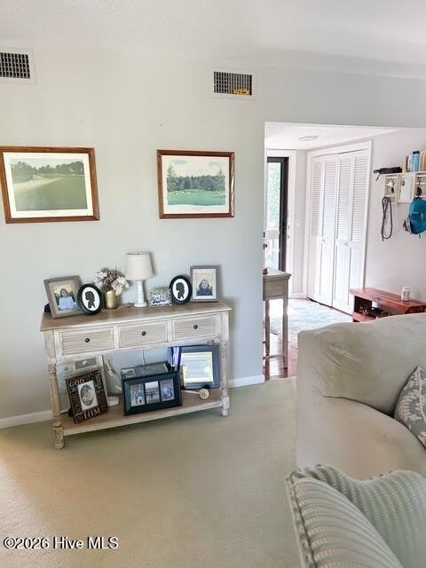 250 Sugar Gum Lane – photo 5