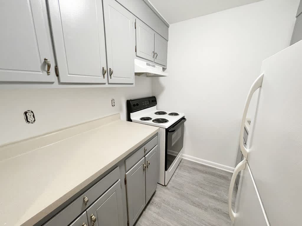 45 Maynard Street – photo 5