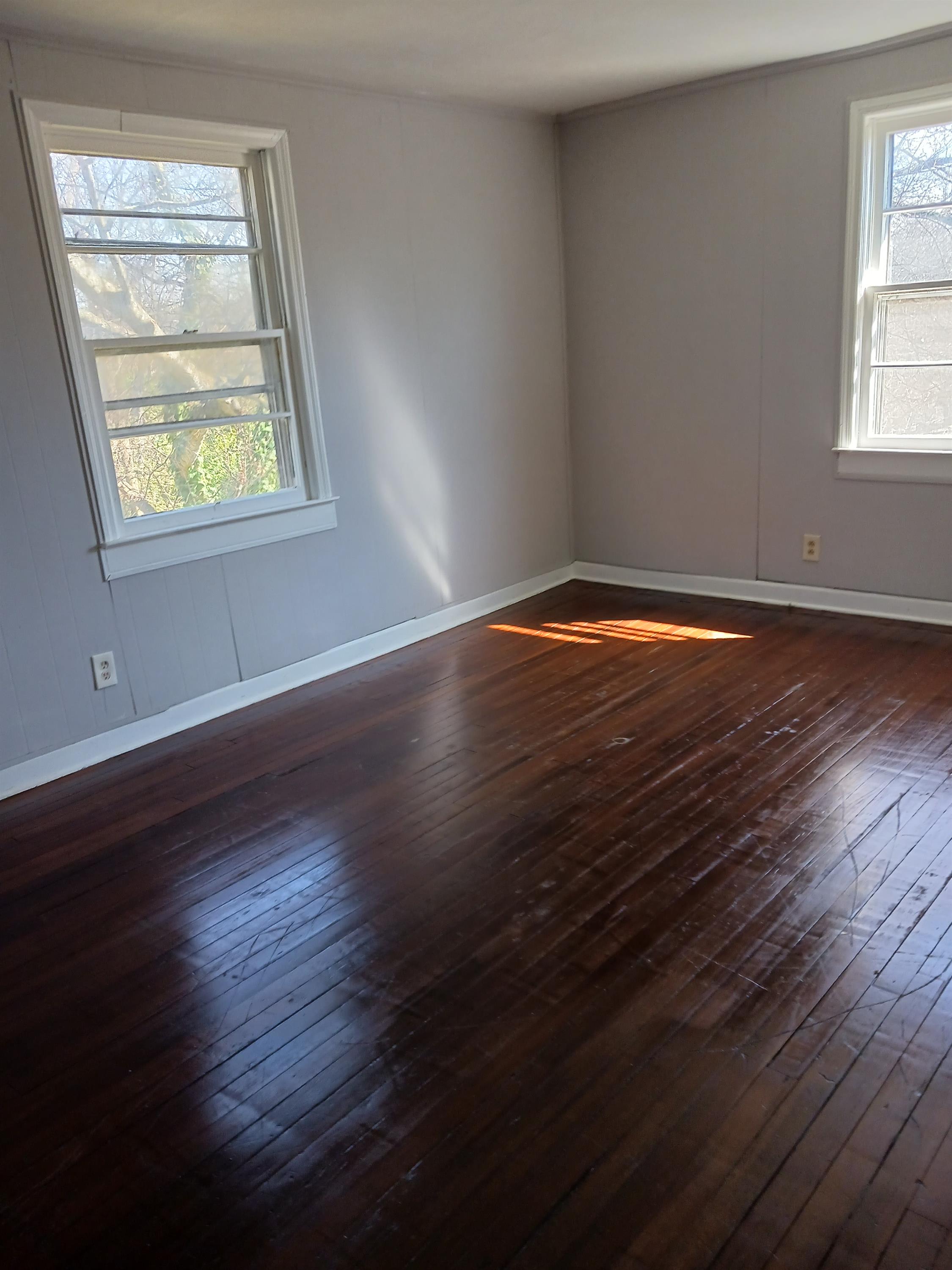 213 Campbell Street – photo 5
