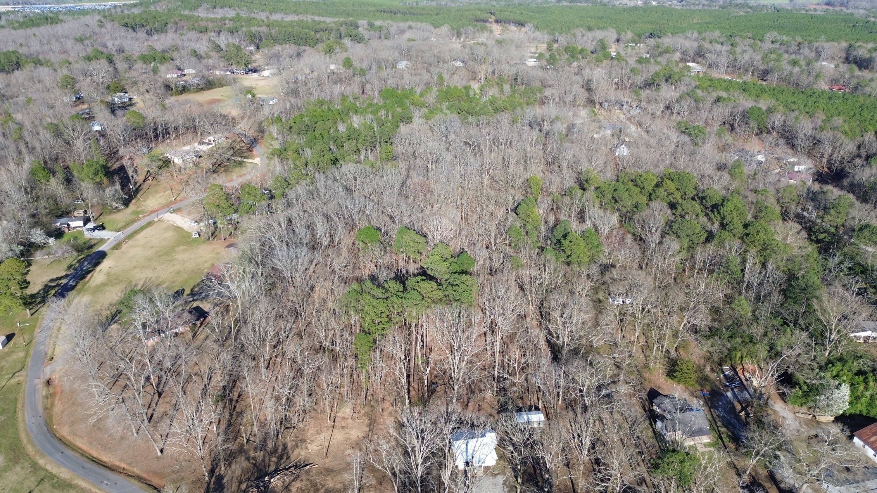 219 Crestview Road – photo 5