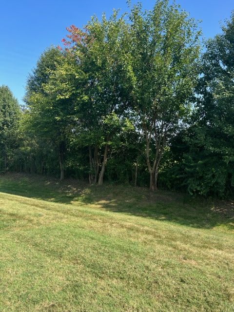 1123 Charles Lee Ct – photo 4