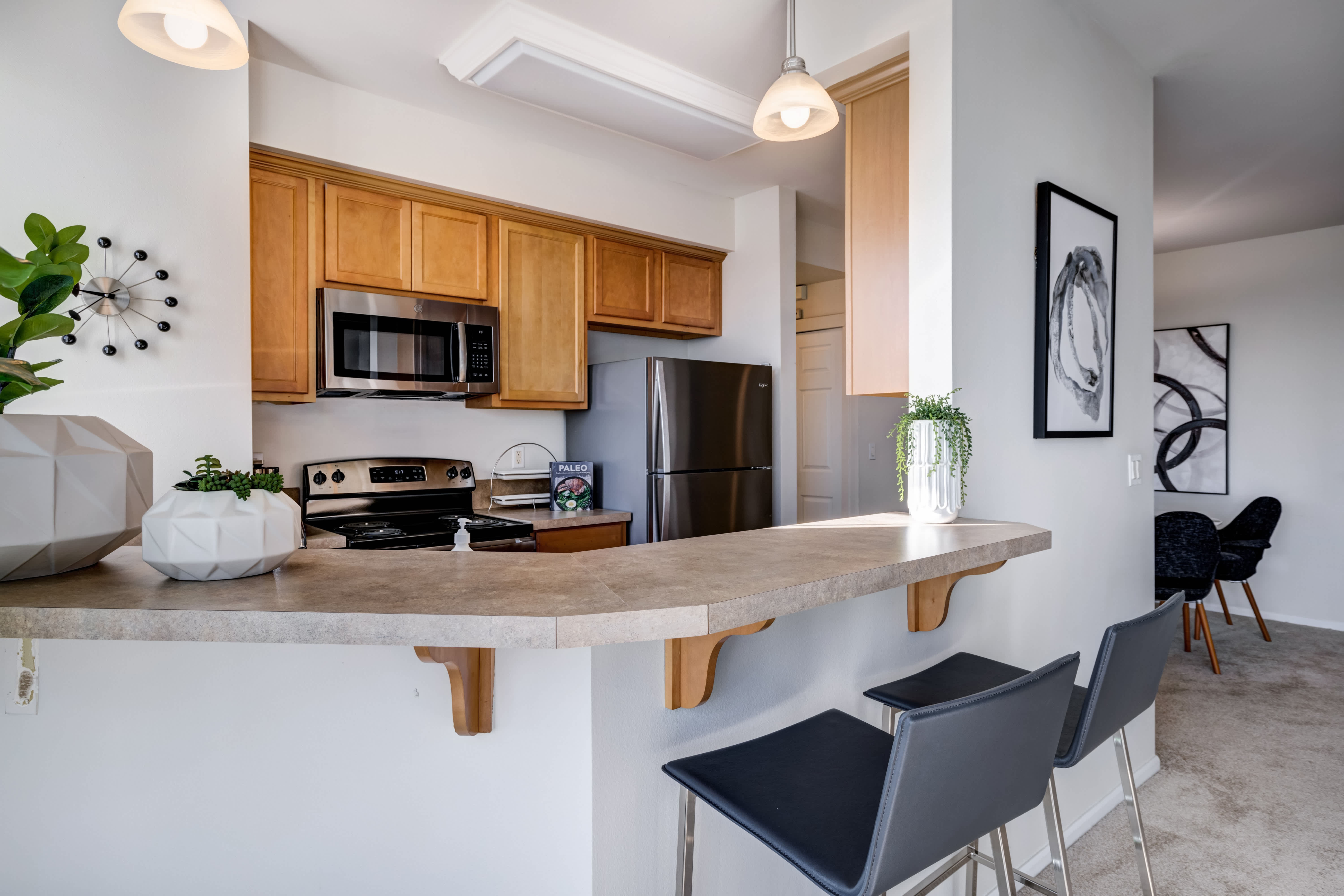Apex Apartments – photo 5