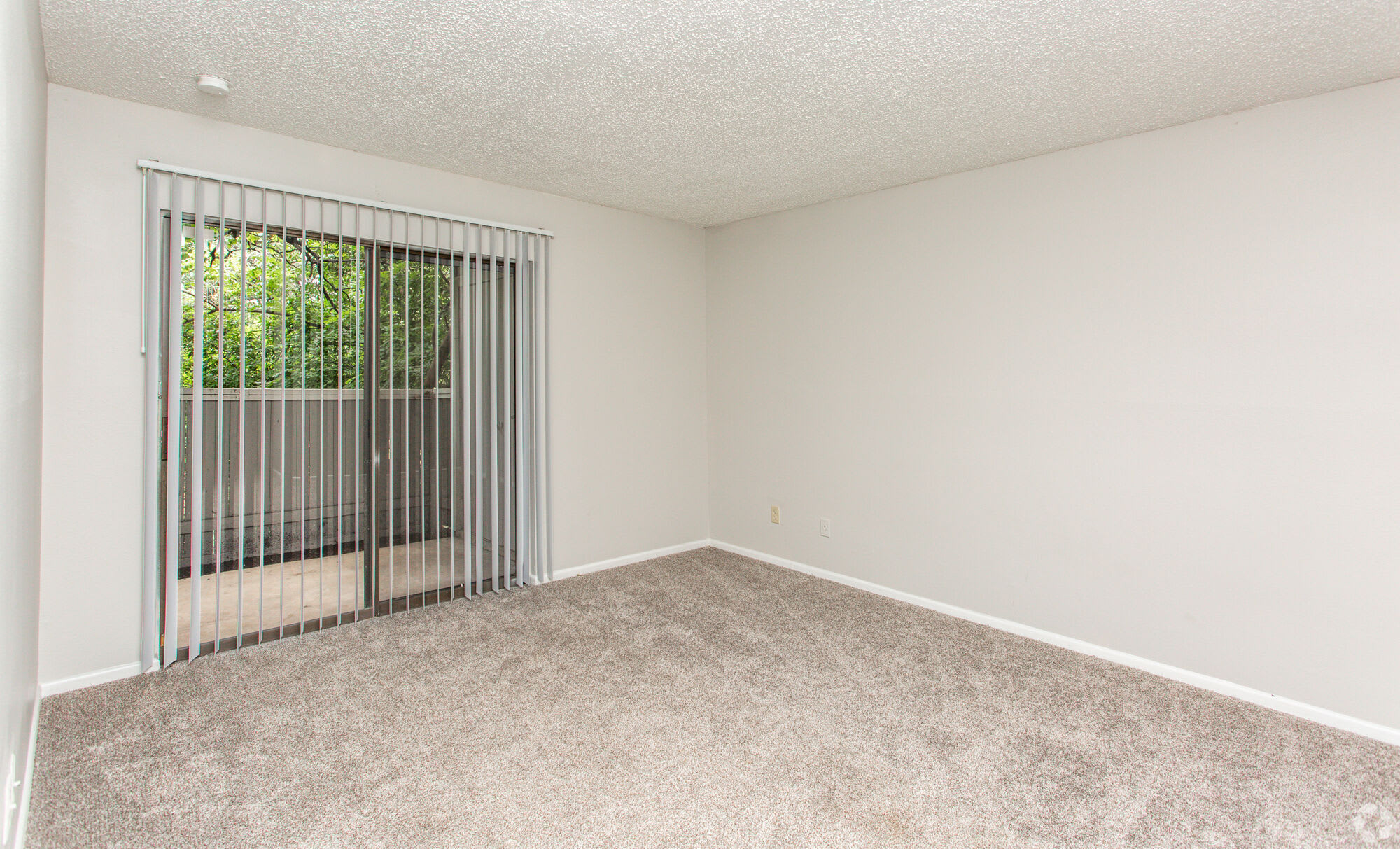 Songbird Apartments – photo 3