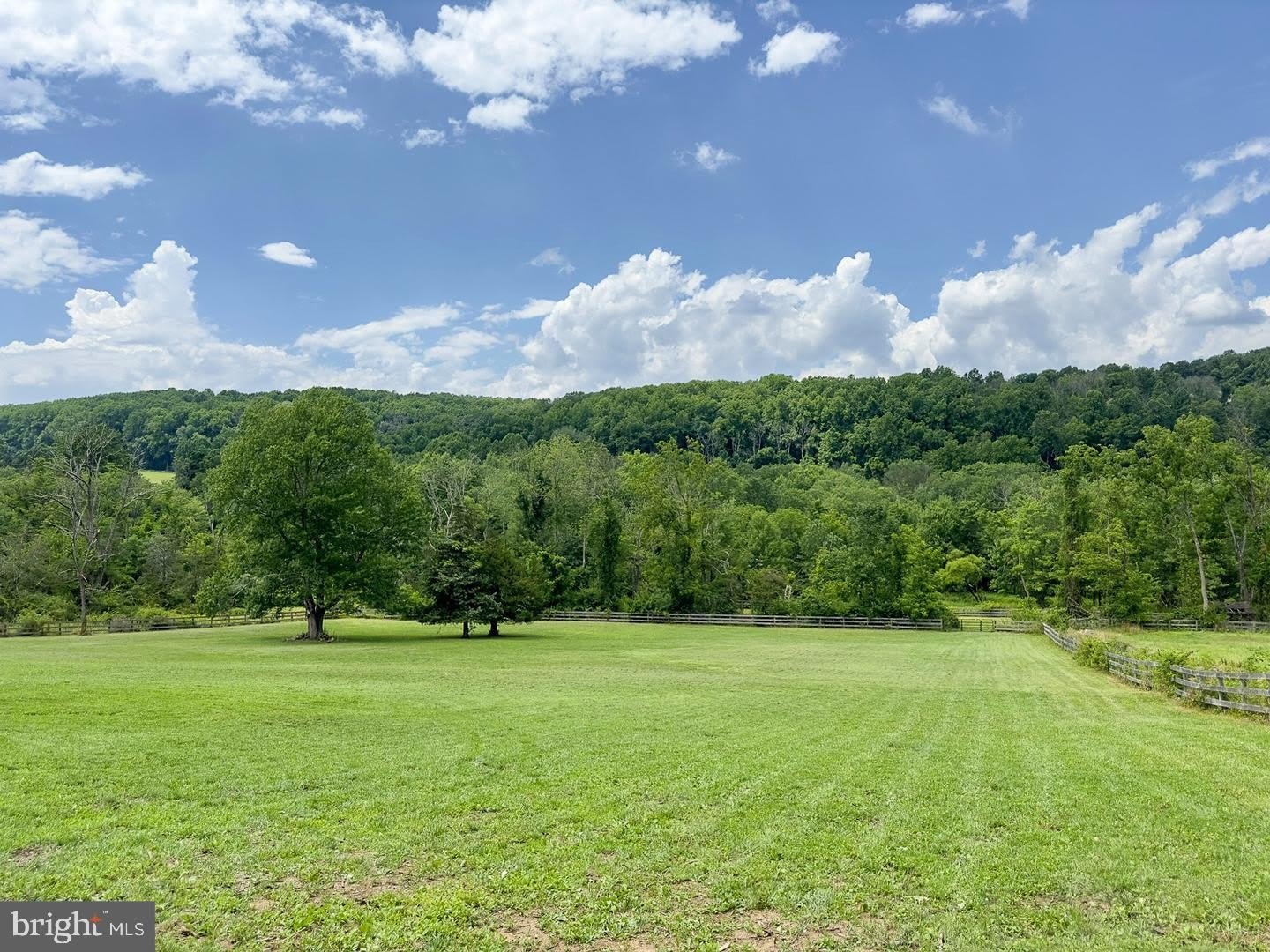 1550 SHEEDER MILL Road – photo 4
