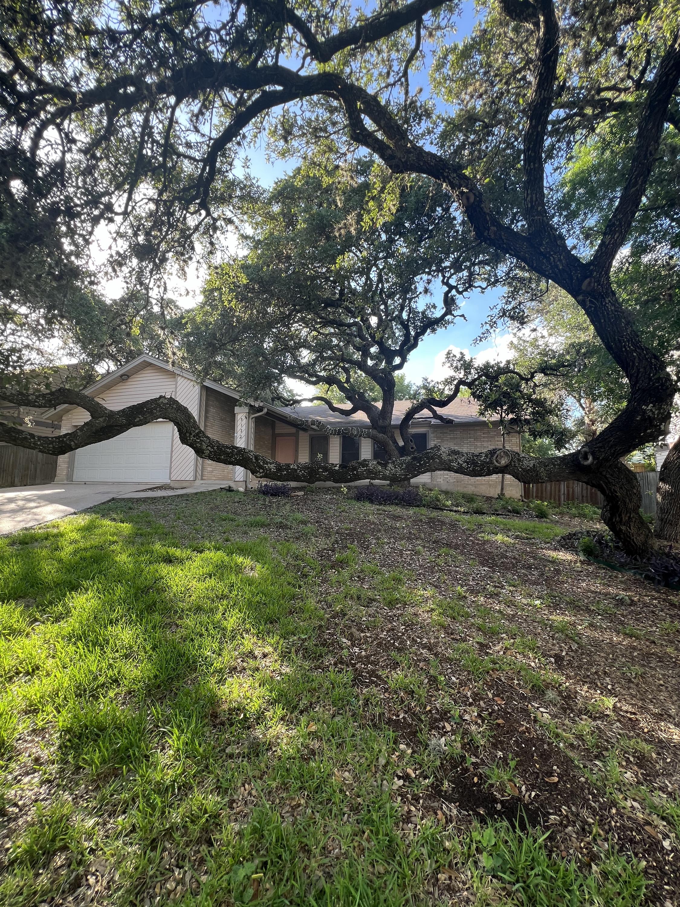 9123 Alpine Trail Street – photo 4