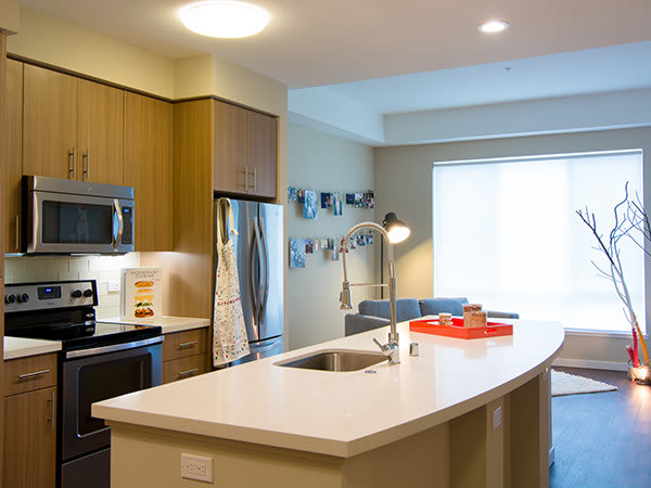 Hearth – photo 4